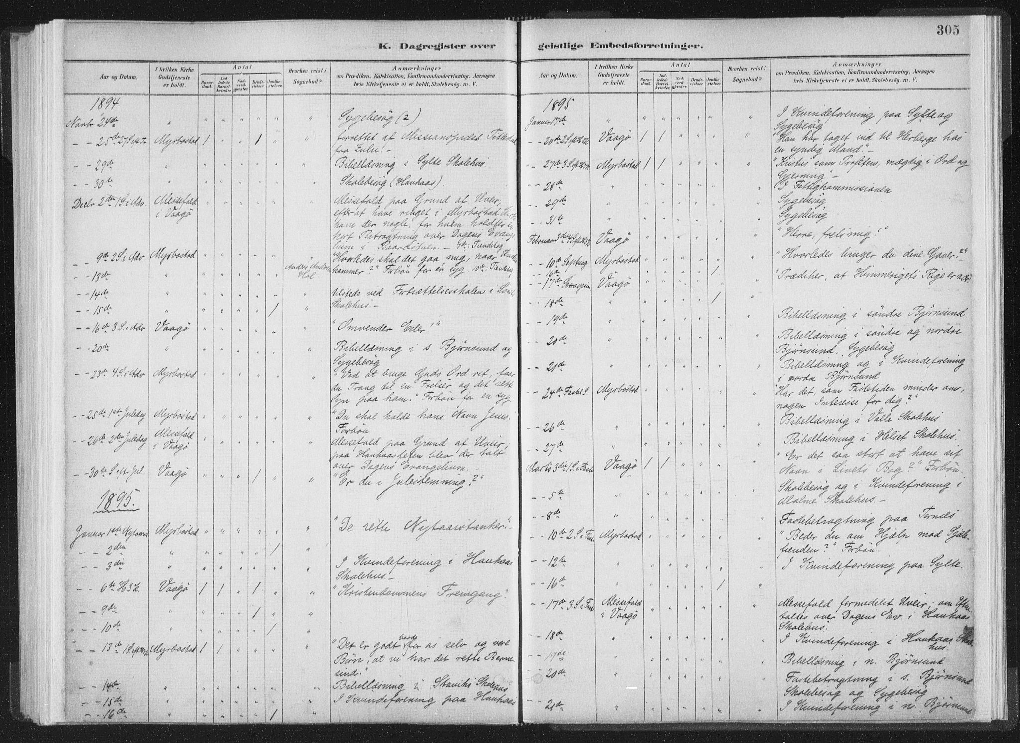 Ministerialprotokoller, klokkerbøker og fødselsregistre - Møre og Romsdal, AV/SAT-A-1454/564/L0740: Ministerialbok nr. 564A01, 1880-1899, s. 305
