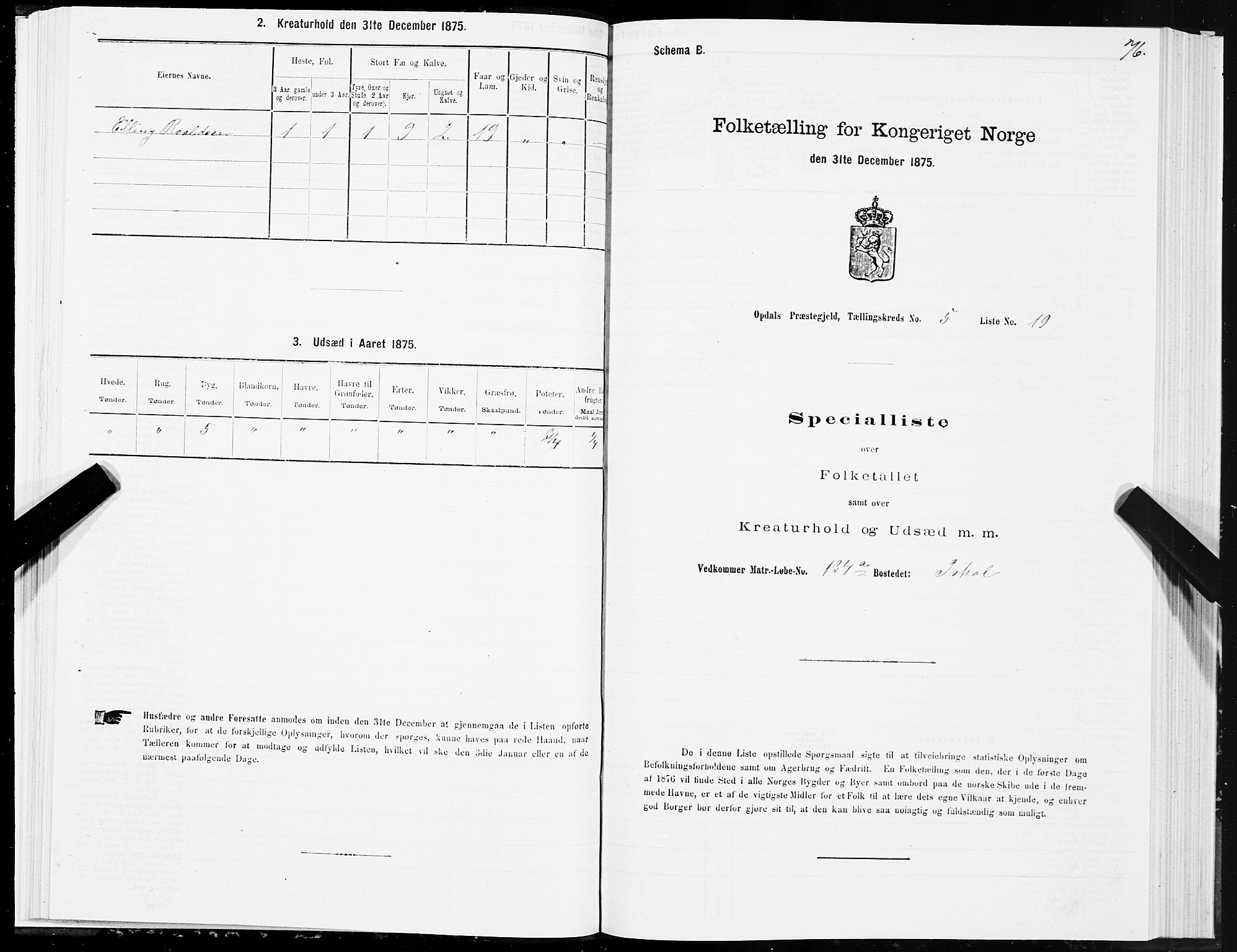 SAT, Folketelling 1875 for 1634P Oppdal prestegjeld, 1875, s. 3076