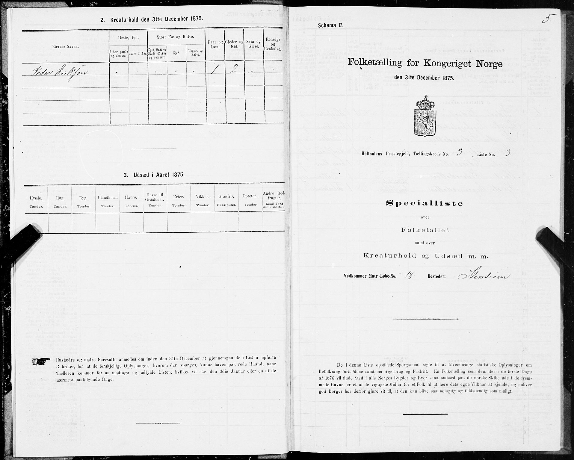 SAT, Folketelling 1875 for 1645P Haltdalen prestegjeld, 1875, s. 3005