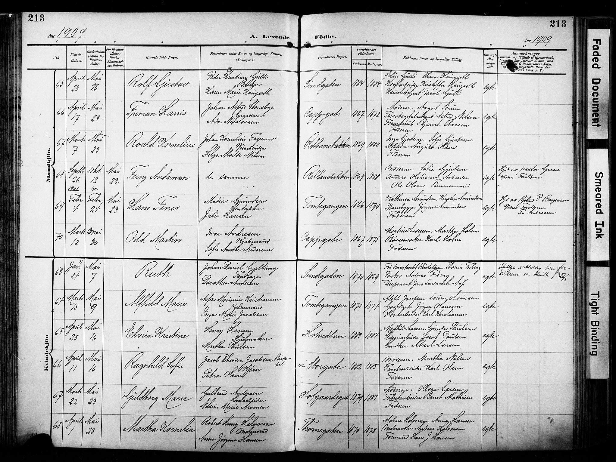 Bragernes kirkebøker, AV/SAKO-A-6/F/Fb/L0009: Ministerialbok nr. II 9, 1902-1911, s. 213