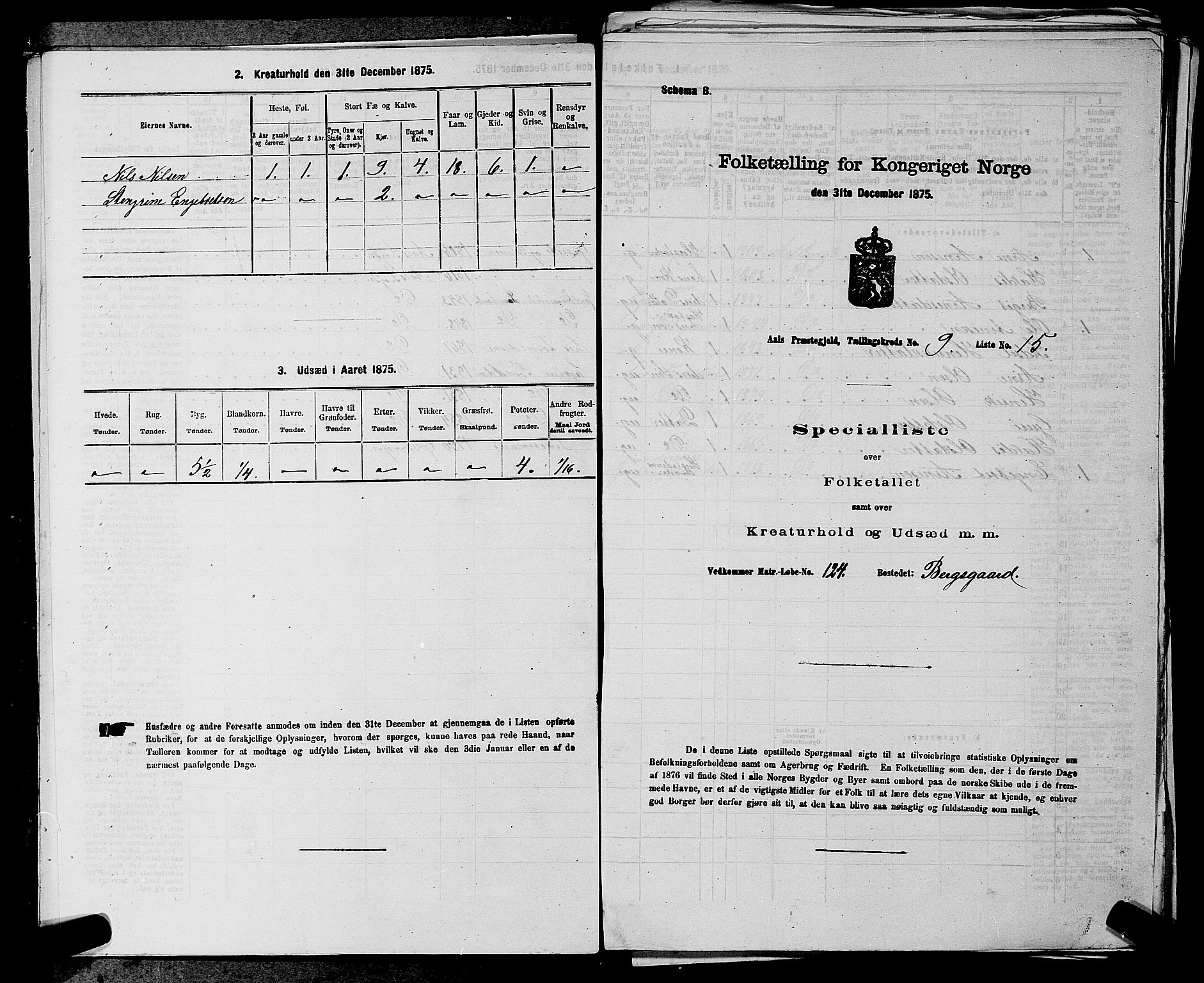 SAKO, Folketelling 1875 for 0619P Ål prestegjeld, 1875, s. 1121