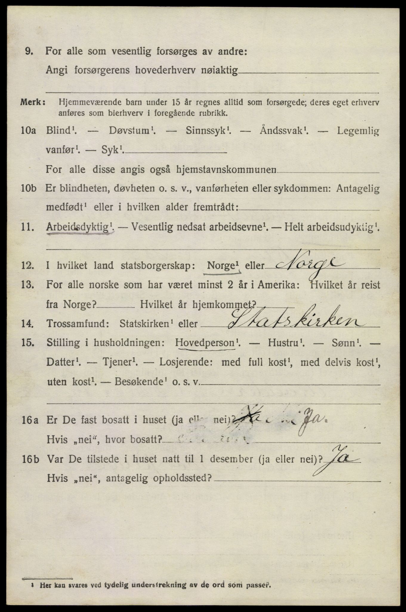SAKO, Folketelling 1920 for 0726 Brunlanes herred, 1920, s. 4502