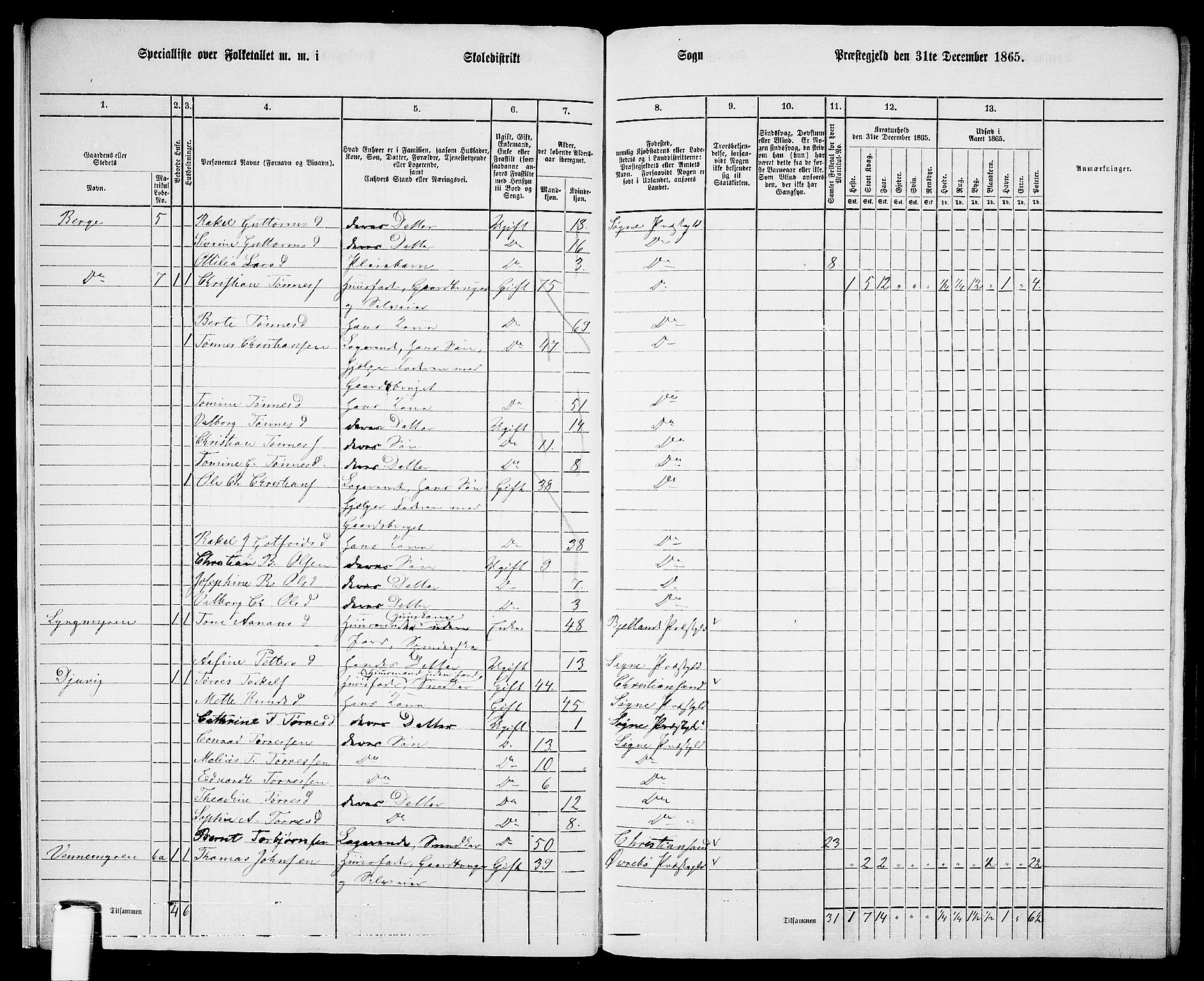 RA, Folketelling 1865 for 1018P Søgne prestegjeld, 1865, s. 18