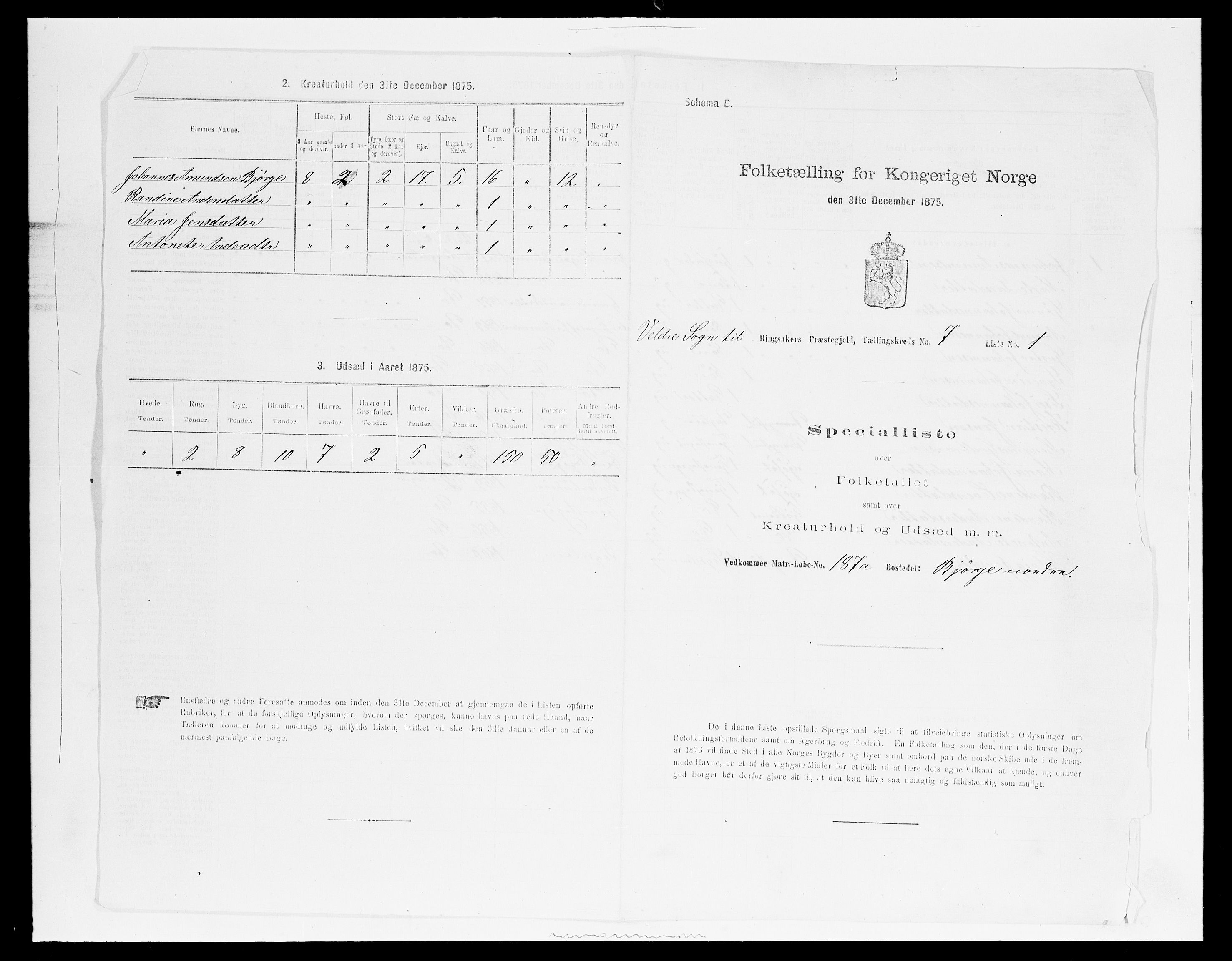 SAH, Folketelling 1875 for 0412P Ringsaker prestegjeld, 1875, s. 1404