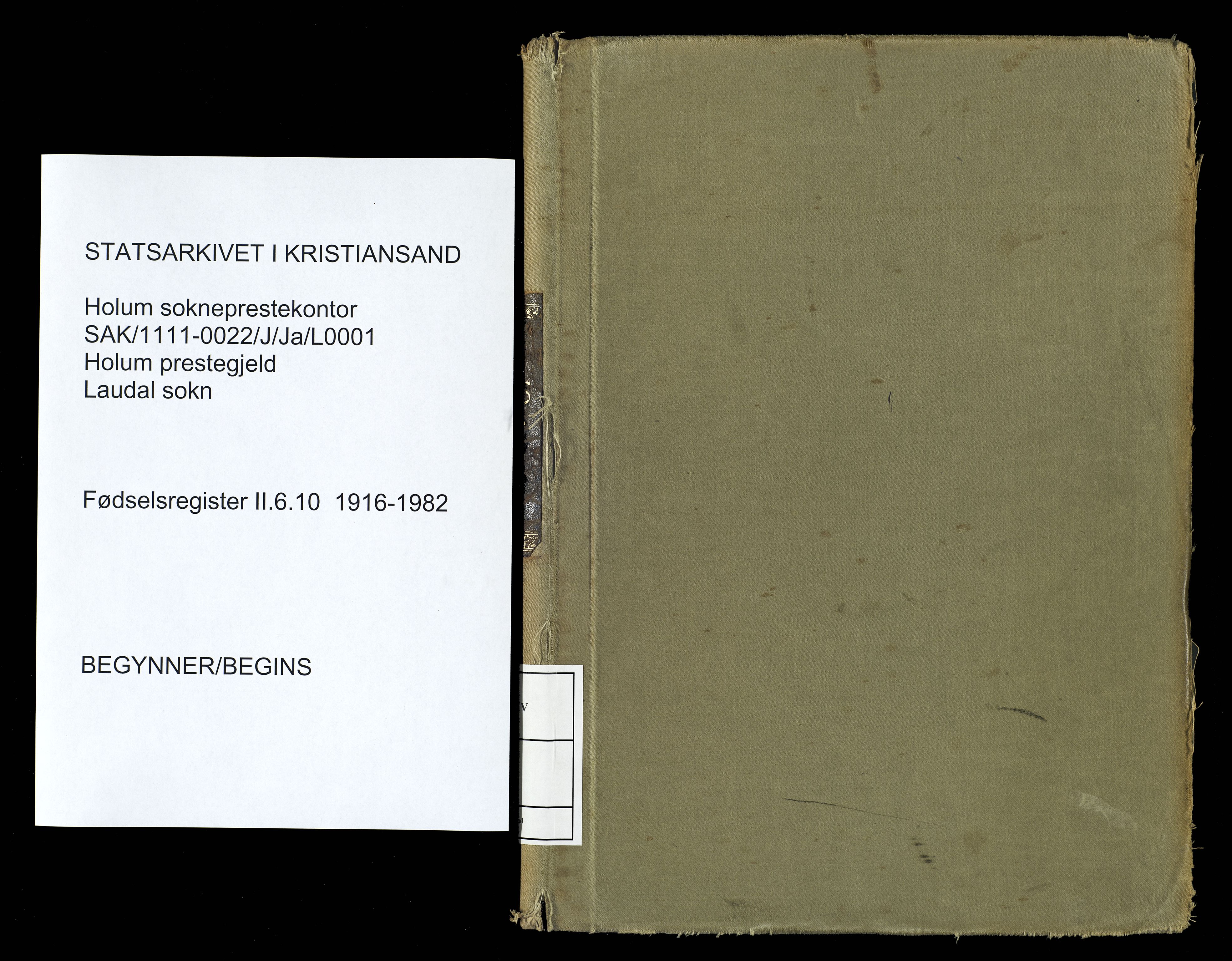 Holum sokneprestkontor, SAK/1111-0022/J/Ja/L0001: Fødselsregister nr. II.6.10, 1916-1982