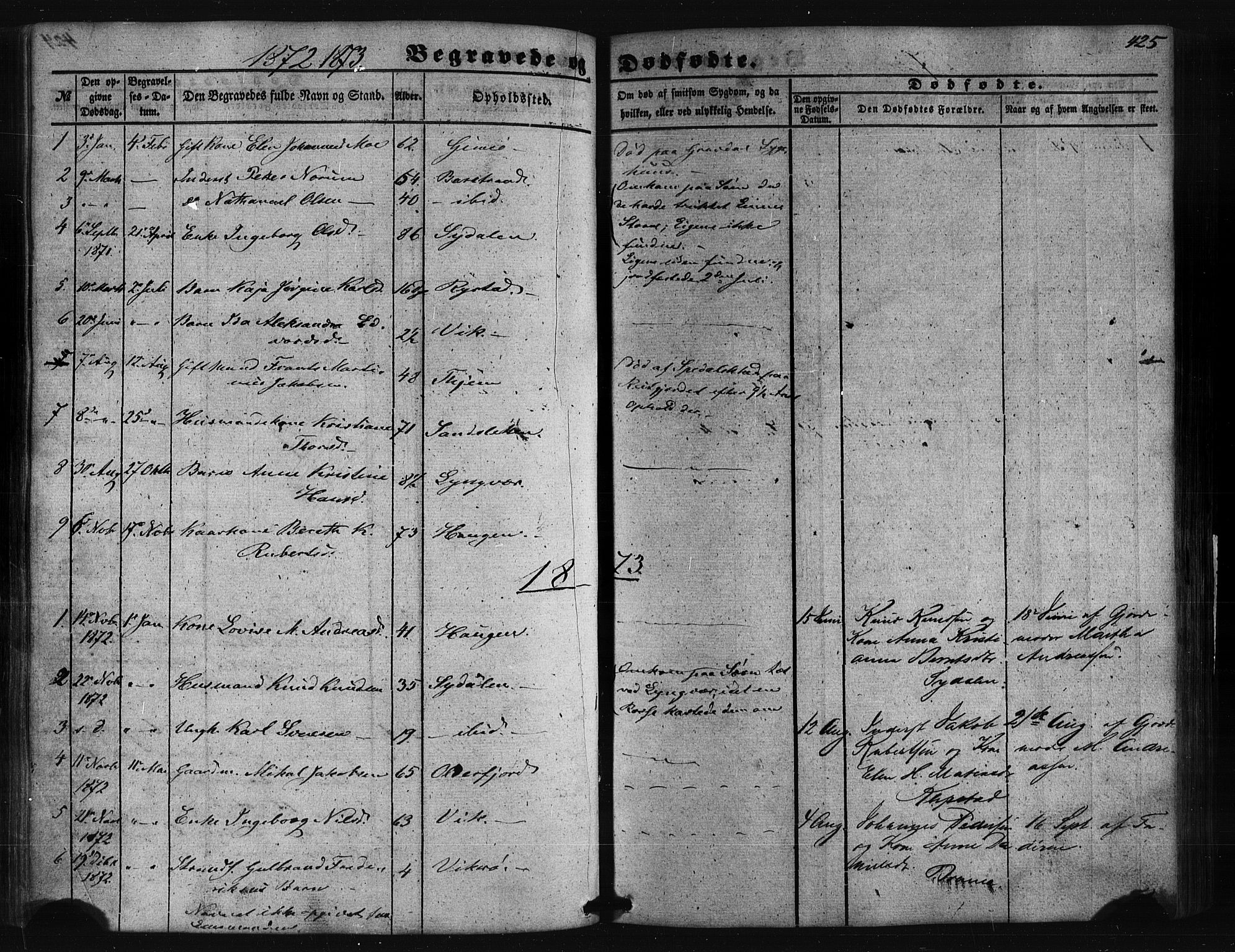 Ministerialprotokoller, klokkerbøker og fødselsregistre - Nordland, SAT/A-1459/876/L1095: Ministerialbok nr. 876A01, 1863-1885, s. 425