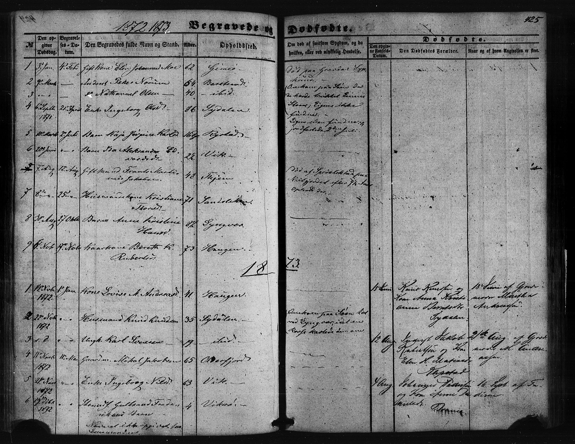 Ministerialprotokoller, klokkerbøker og fødselsregistre - Nordland, AV/SAT-A-1459/876/L1095: Ministerialbok nr. 876A01, 1863-1885, s. 425