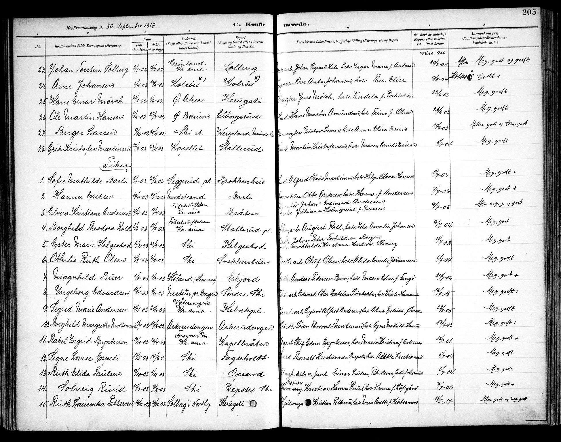 Kråkstad prestekontor Kirkebøker, SAO/A-10125a/F/Fb/L0002: Ministerialbok nr. II 2, 1893-1917, s. 205