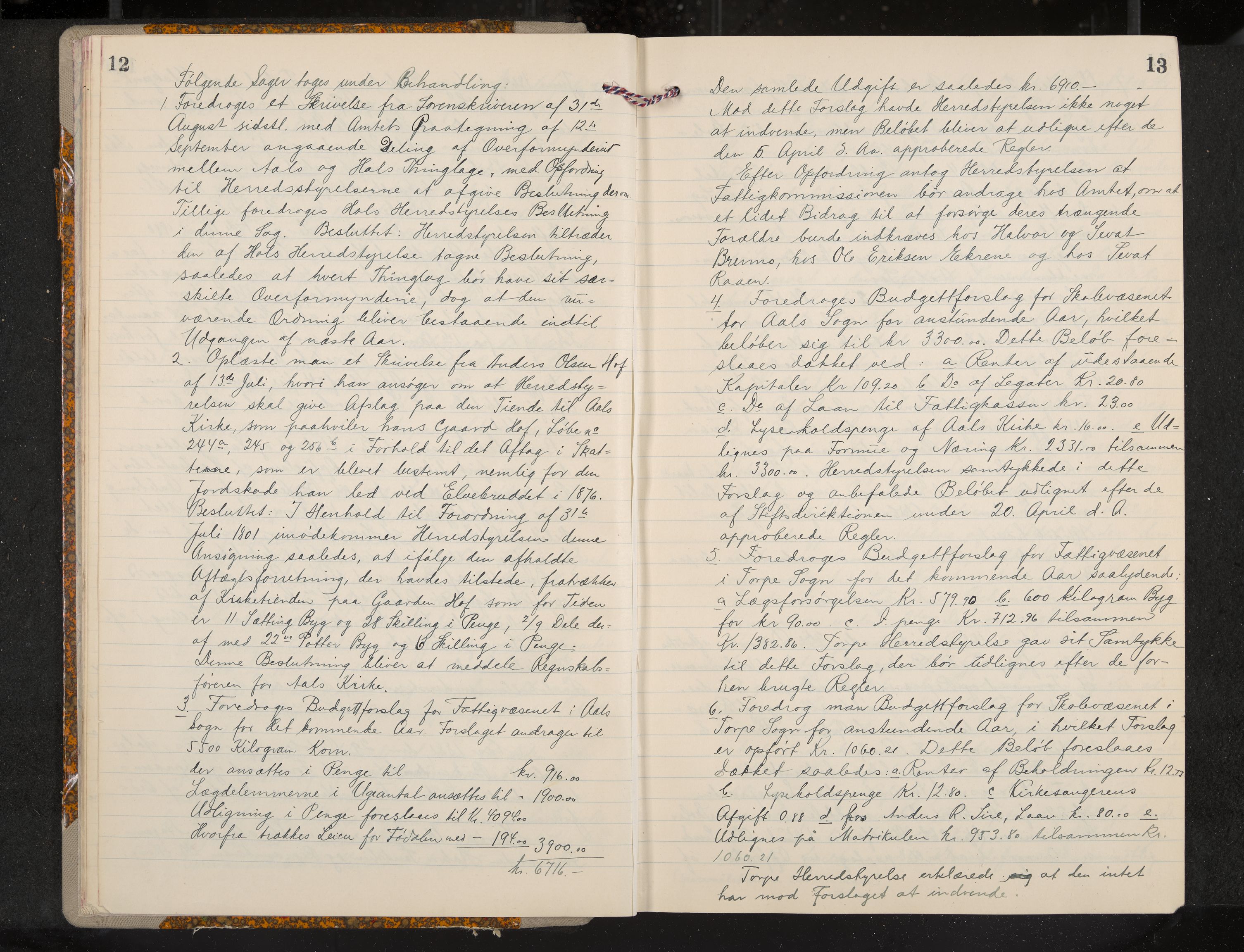 Ål formannskap og sentraladministrasjon, IKAK/0619021/A/Aa/L0004: Utskrift av møtebok, 1881-1901, s. 12-13