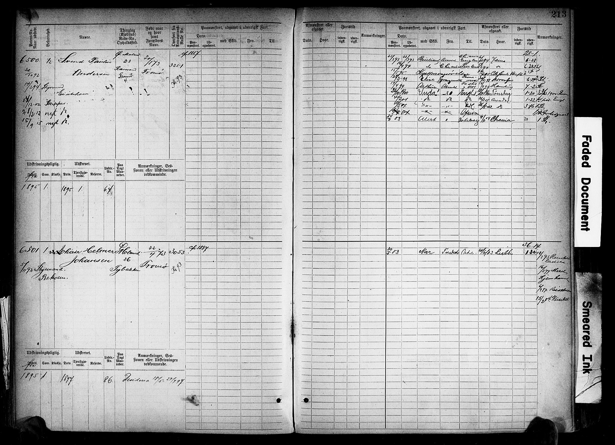 Arendal mønstringskrets, AV/SAK-2031-0012/F/Fb/L0018: Hovedrulle A nr 6077-6849, S-16, 1892-1894, s. 213
