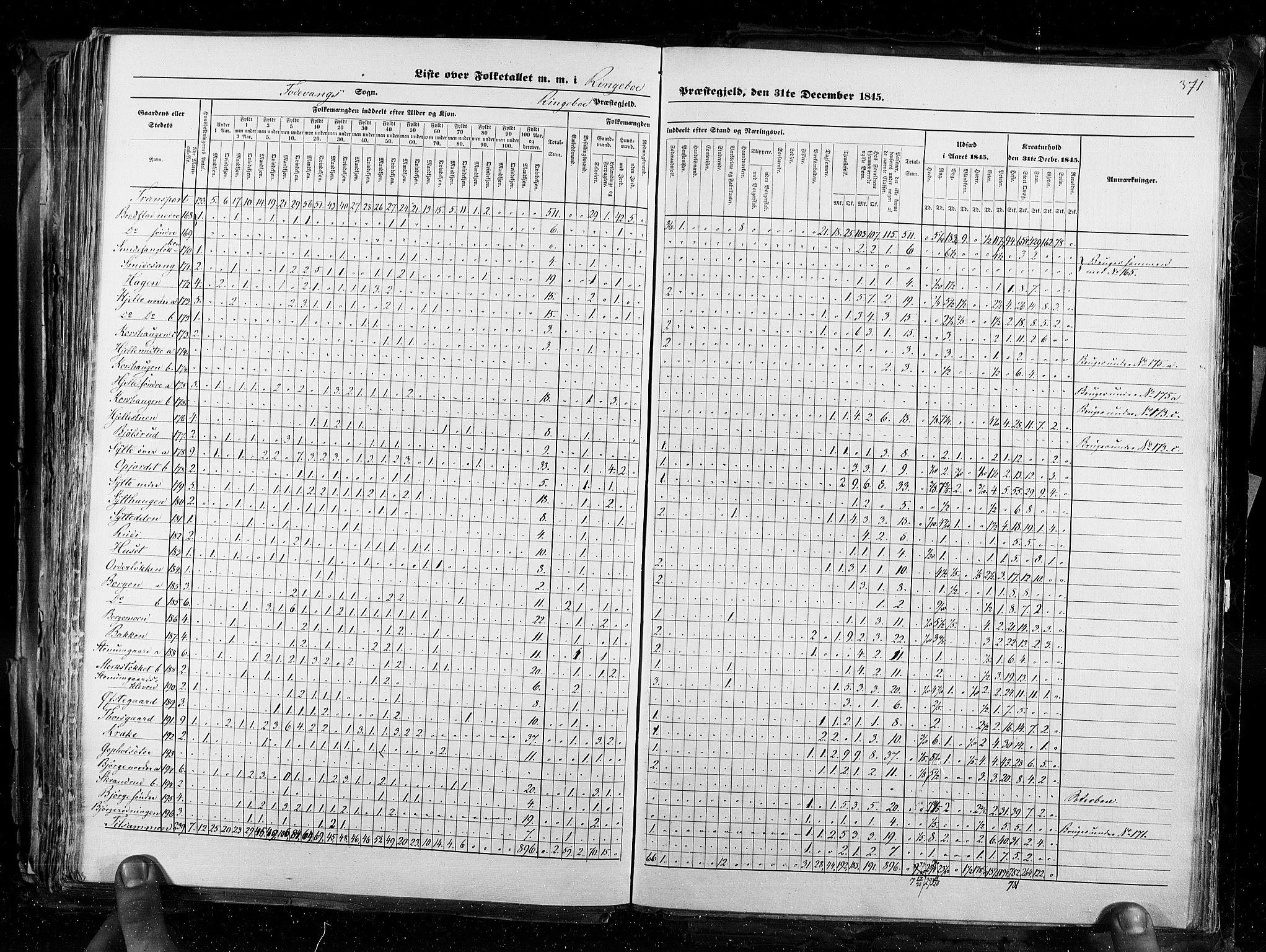 RA, Folketellingen 1845, bind 3: Hedemarken amt og Kristians amt, 1845, s. 371