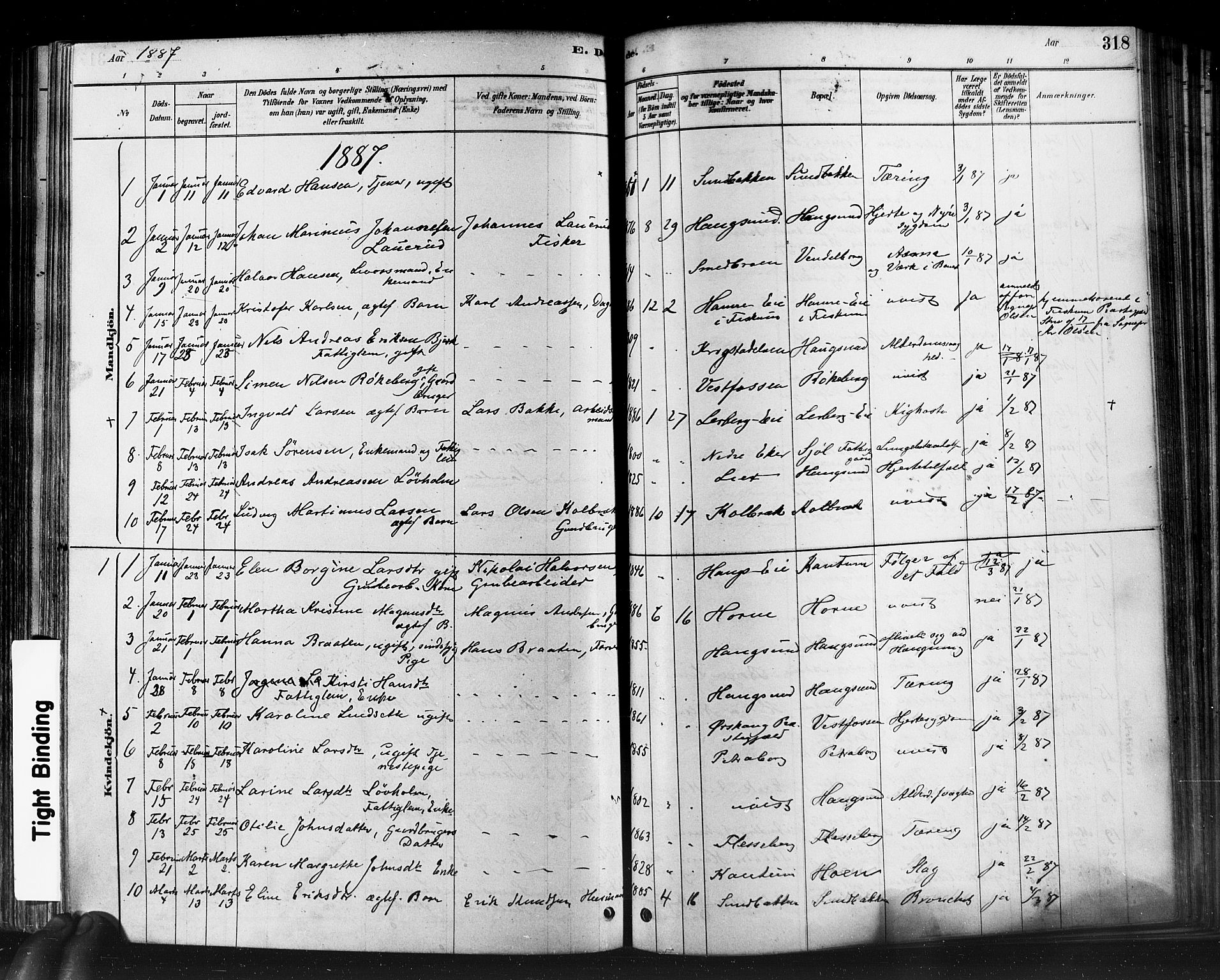 Eiker kirkebøker, AV/SAKO-A-4/F/Fb/L0001: Ministerialbok nr. II 1, 1878-1888, s. 318