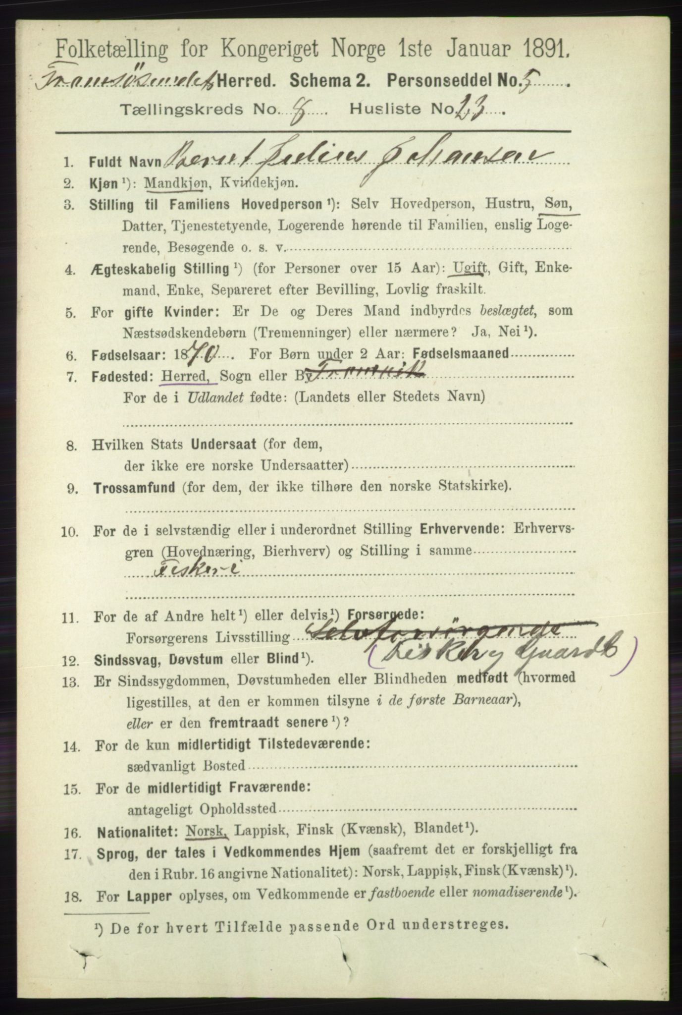 RA, Folketelling 1891 for 1934 Tromsøysund herred, 1891, s. 4607