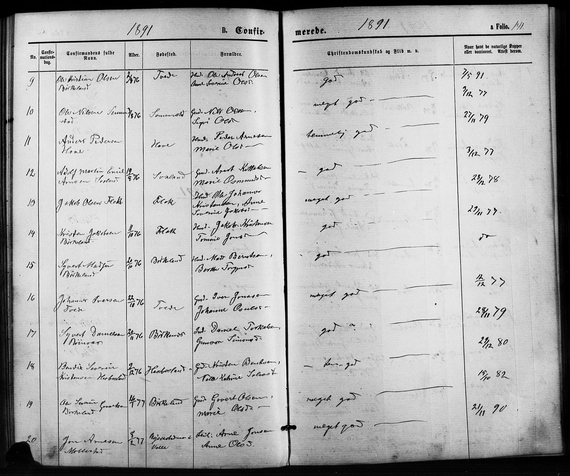 Birkenes sokneprestkontor, AV/SAK-1111-0004/F/Fb/L0003: Klokkerbok nr. B 3, 1876-1892, s. 141