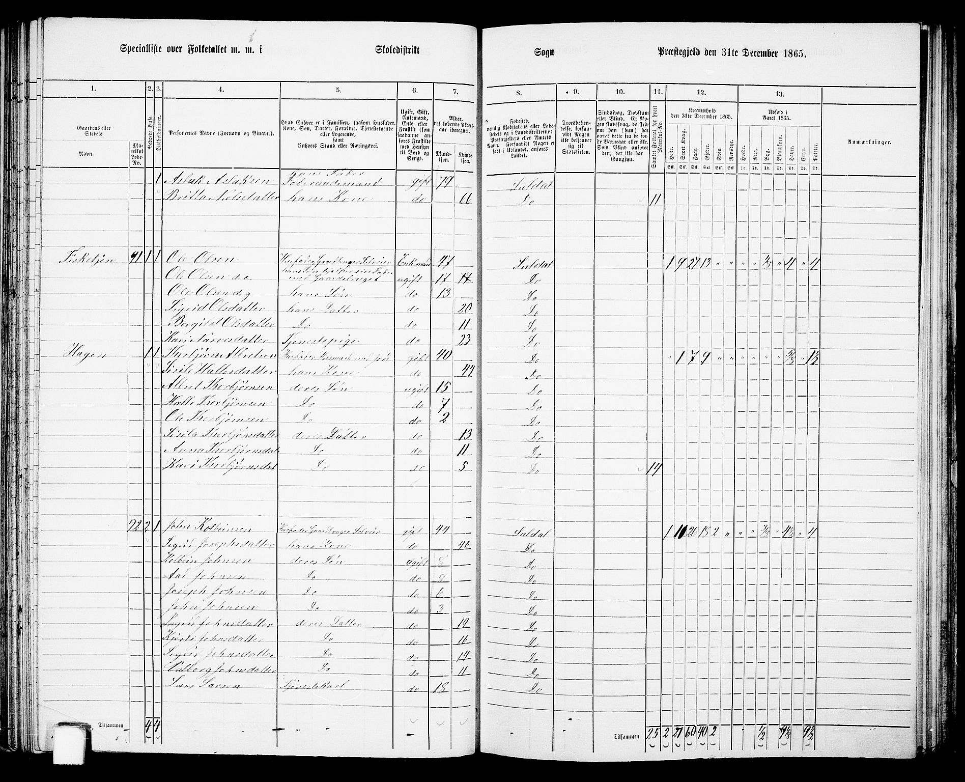RA, Folketelling 1865 for 1134P Suldal prestegjeld, 1865, s. 61