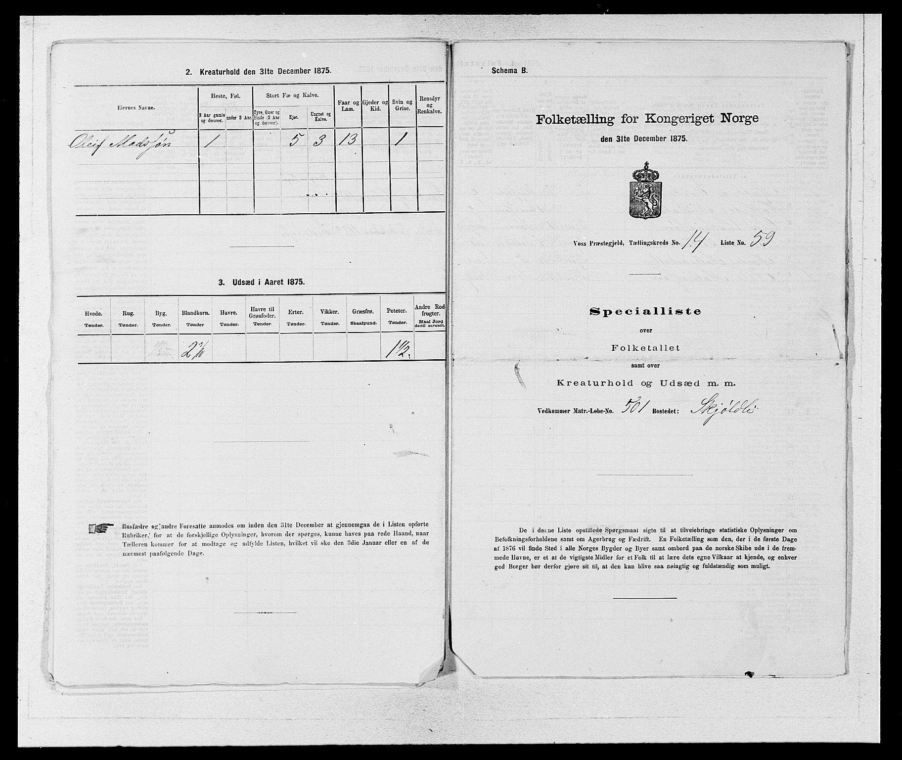 SAB, Folketelling 1875 for 1235P Voss prestegjeld, 1875, s. 1699