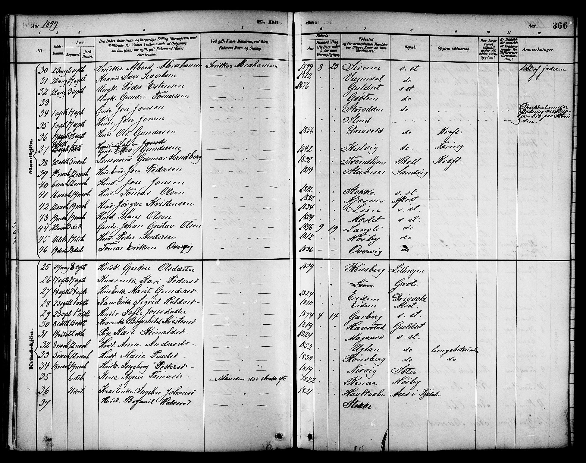 Ministerialprotokoller, klokkerbøker og fødselsregistre - Sør-Trøndelag, AV/SAT-A-1456/695/L1157: Klokkerbok nr. 695C08, 1889-1913, s. 366