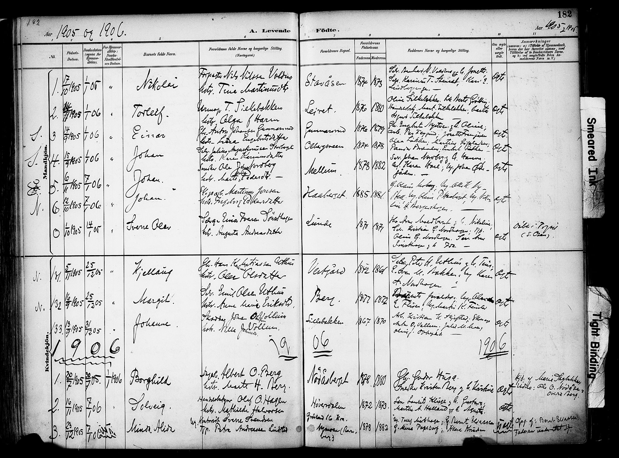 Elverum prestekontor, AV/SAH-PREST-044/H/Ha/Haa/L0014: Ministerialbok nr. 14, 1891-1909, s. 182
