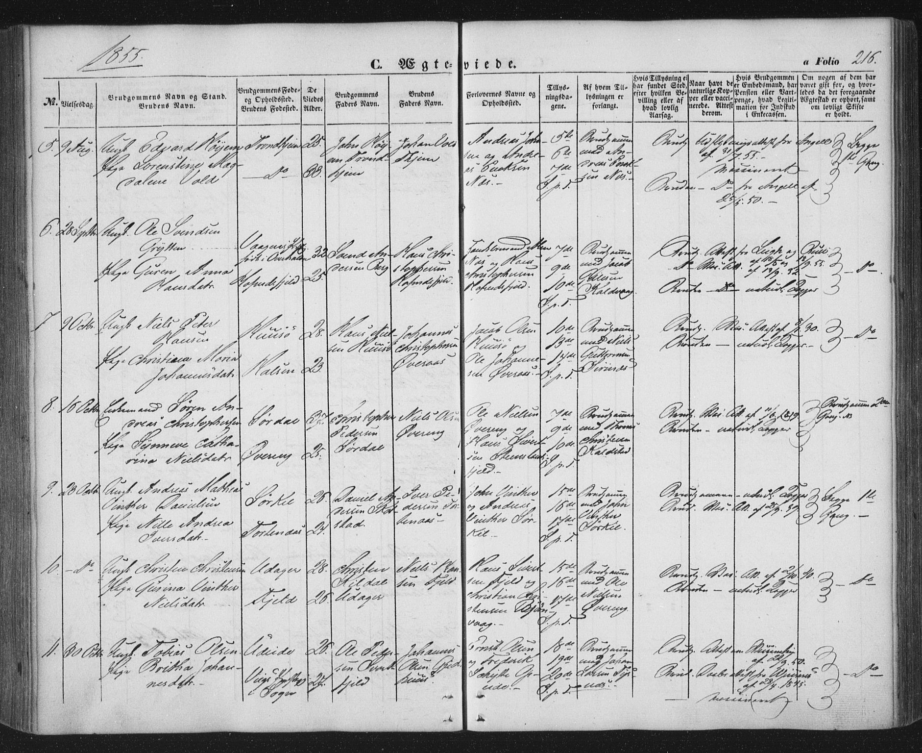 Ministerialprotokoller, klokkerbøker og fødselsregistre - Nordland, AV/SAT-A-1459/859/L0844: Ministerialbok nr. 859A04, 1849-1862, s. 216