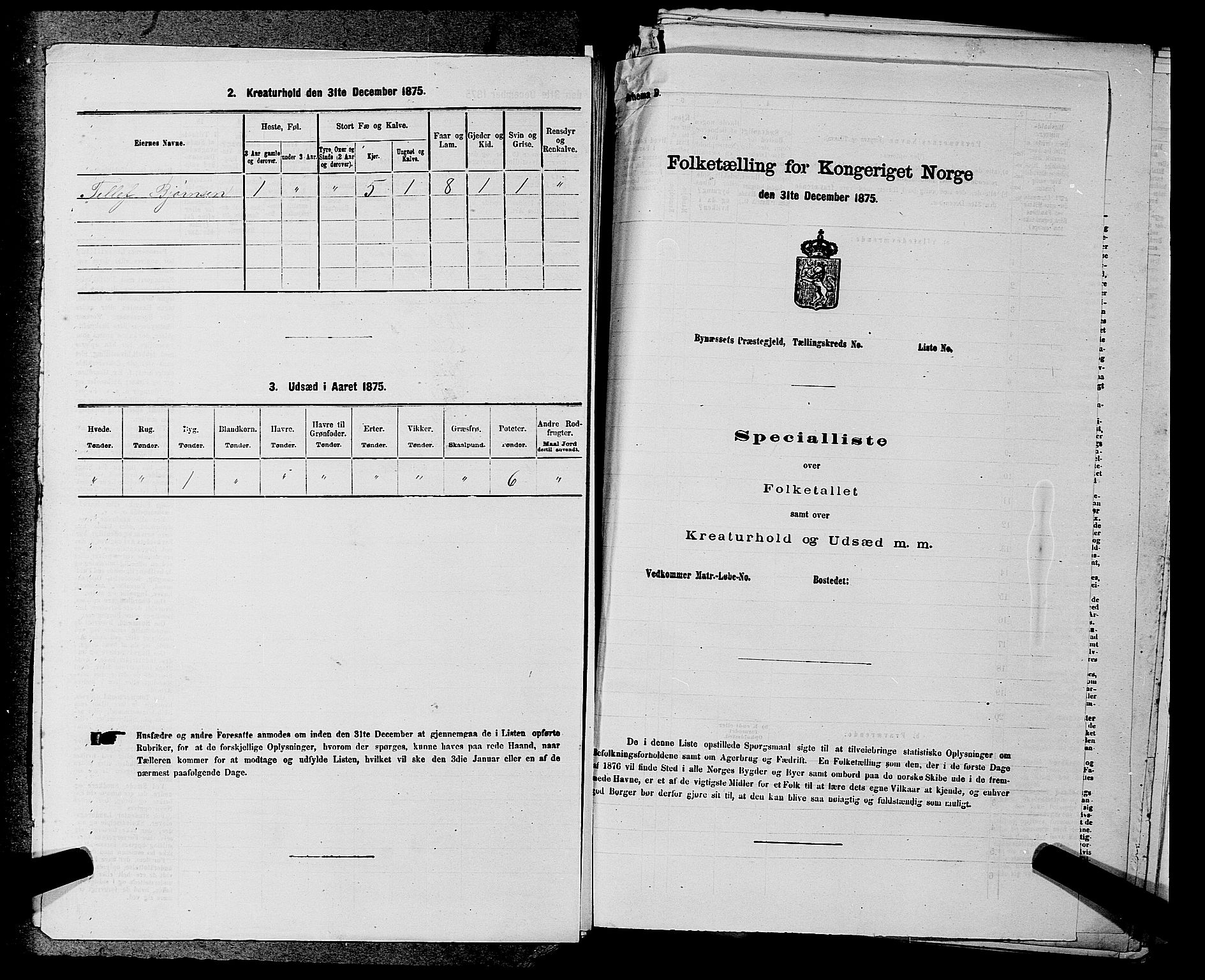 SAKO, Folketelling 1875 for 0830P Nissedal prestegjeld, 1875, s. 349