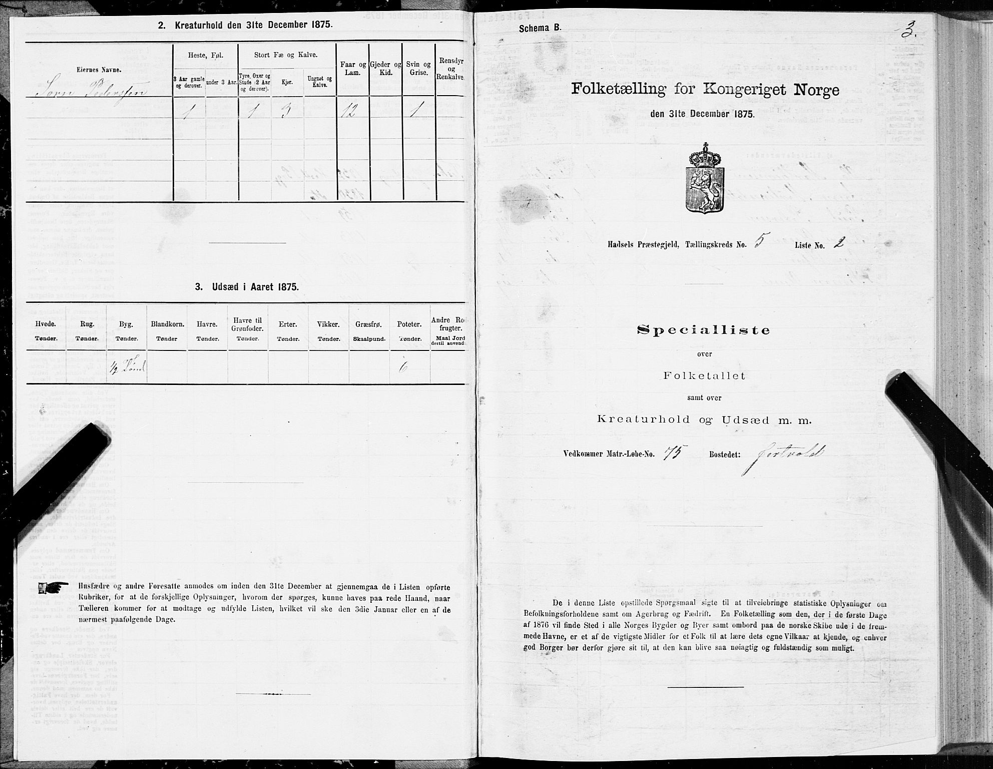 SAT, Folketelling 1875 for 1866P Hadsel prestegjeld, 1875, s. 3003