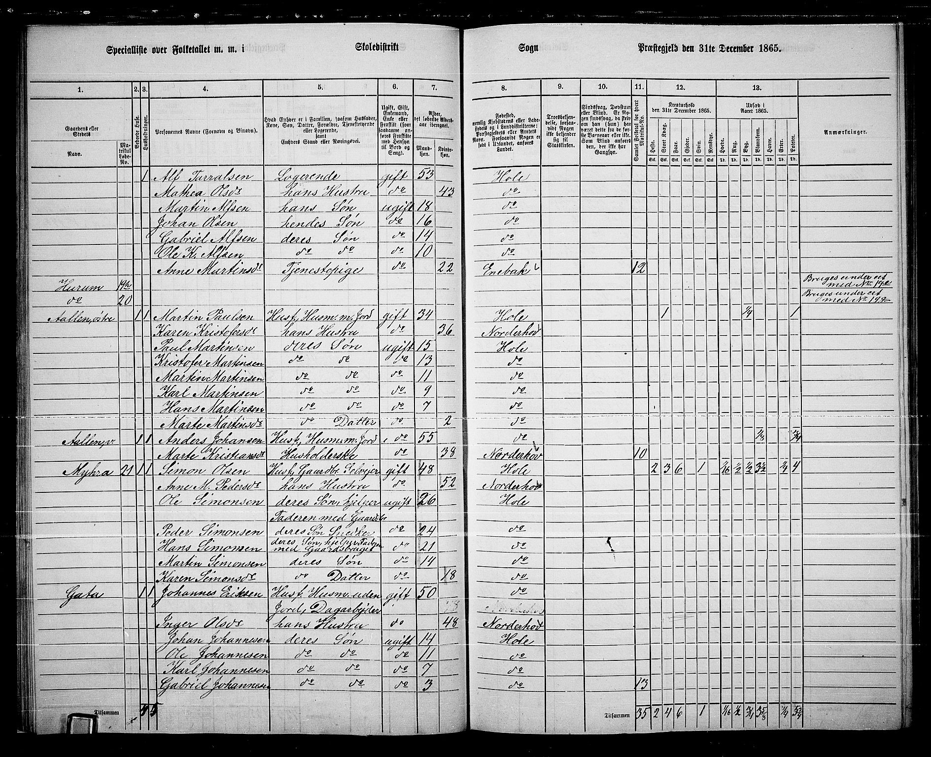 RA, Folketelling 1865 for 0612P Hole prestegjeld, 1865, s. 23