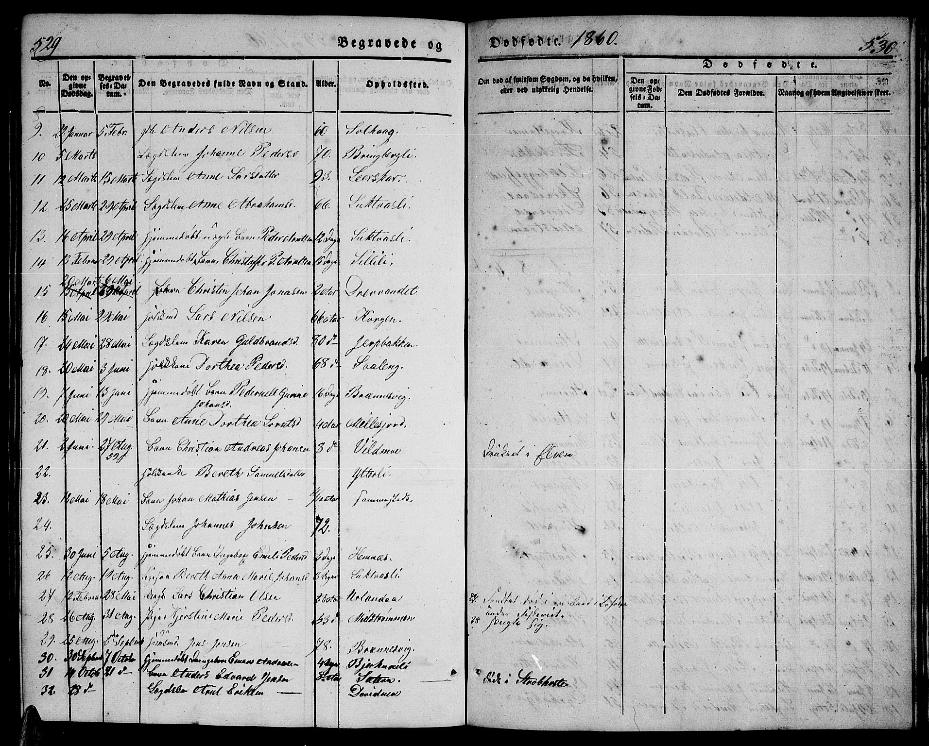 Ministerialprotokoller, klokkerbøker og fødselsregistre - Nordland, AV/SAT-A-1459/825/L0364: Klokkerbok nr. 825C01, 1841-1863, s. 529-530