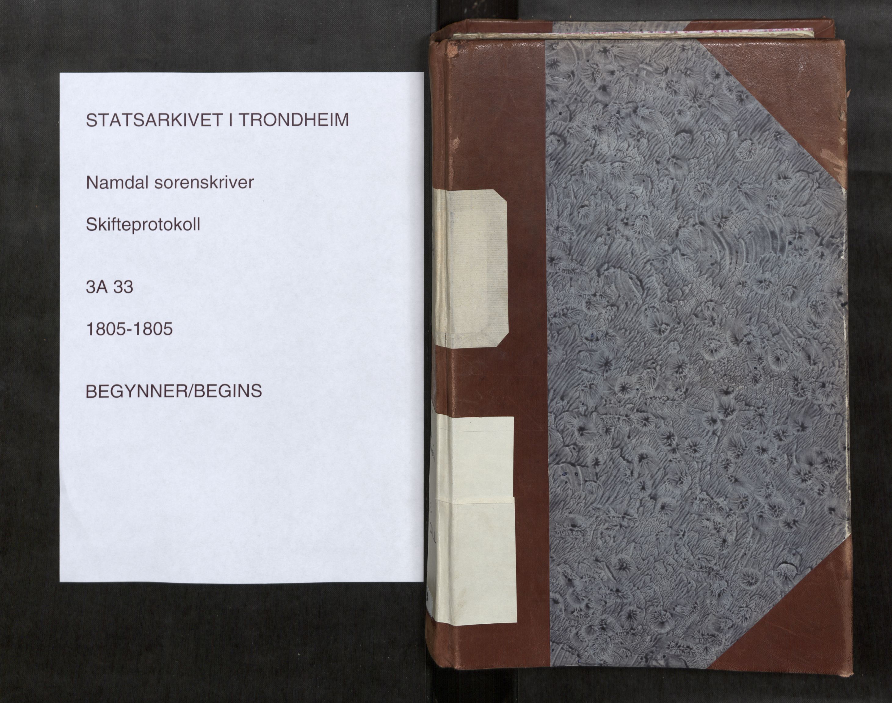 Namdal sorenskriveri, AV/SAT-A-4133/1/3/3A/L0033: Skifteprotokoll nr. 23, 1805