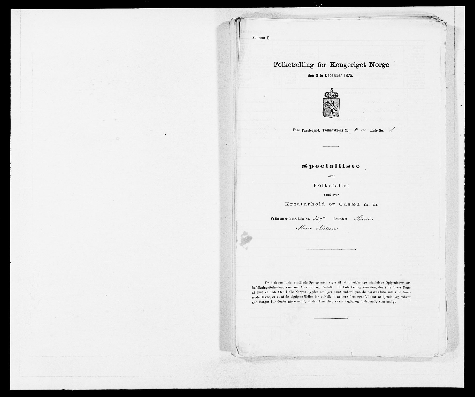 SAB, Folketelling 1875 for 1249P Fana prestegjeld, 1875, s. 418