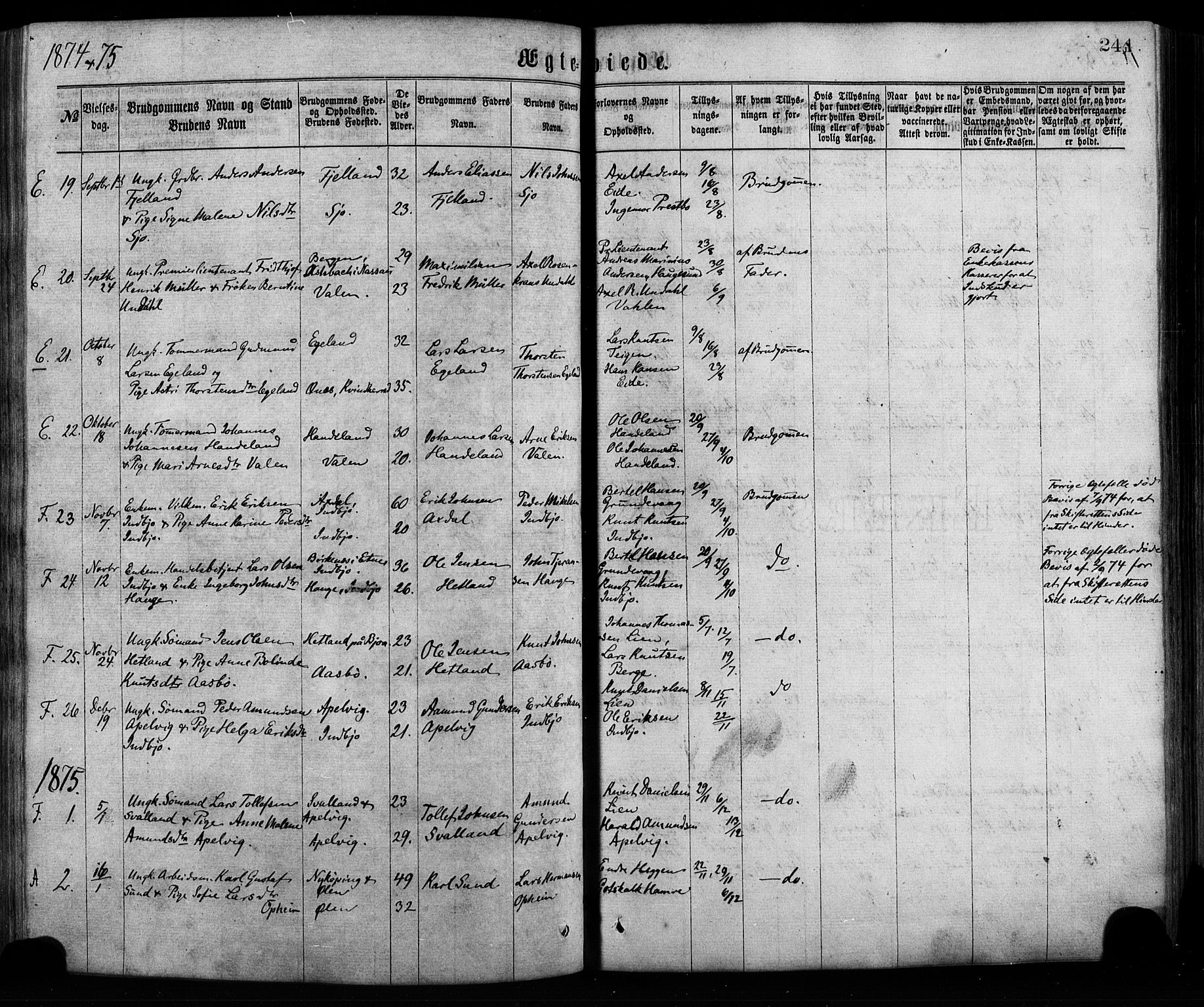 Fjelberg sokneprestembete, AV/SAB-A-75201/H/Haa: Ministerialbok nr. A 8, 1866-1879, s. 244