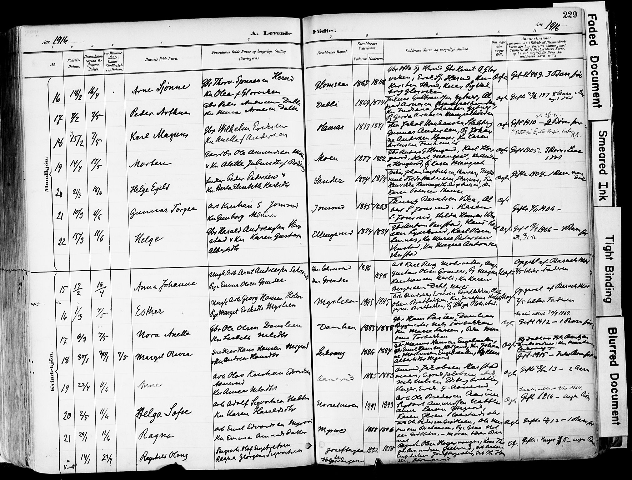 Sør-Odal prestekontor, AV/SAH-PREST-030/H/Ha/Haa/L0006: Ministerialbok nr. 6, 1886-1931, s. 229