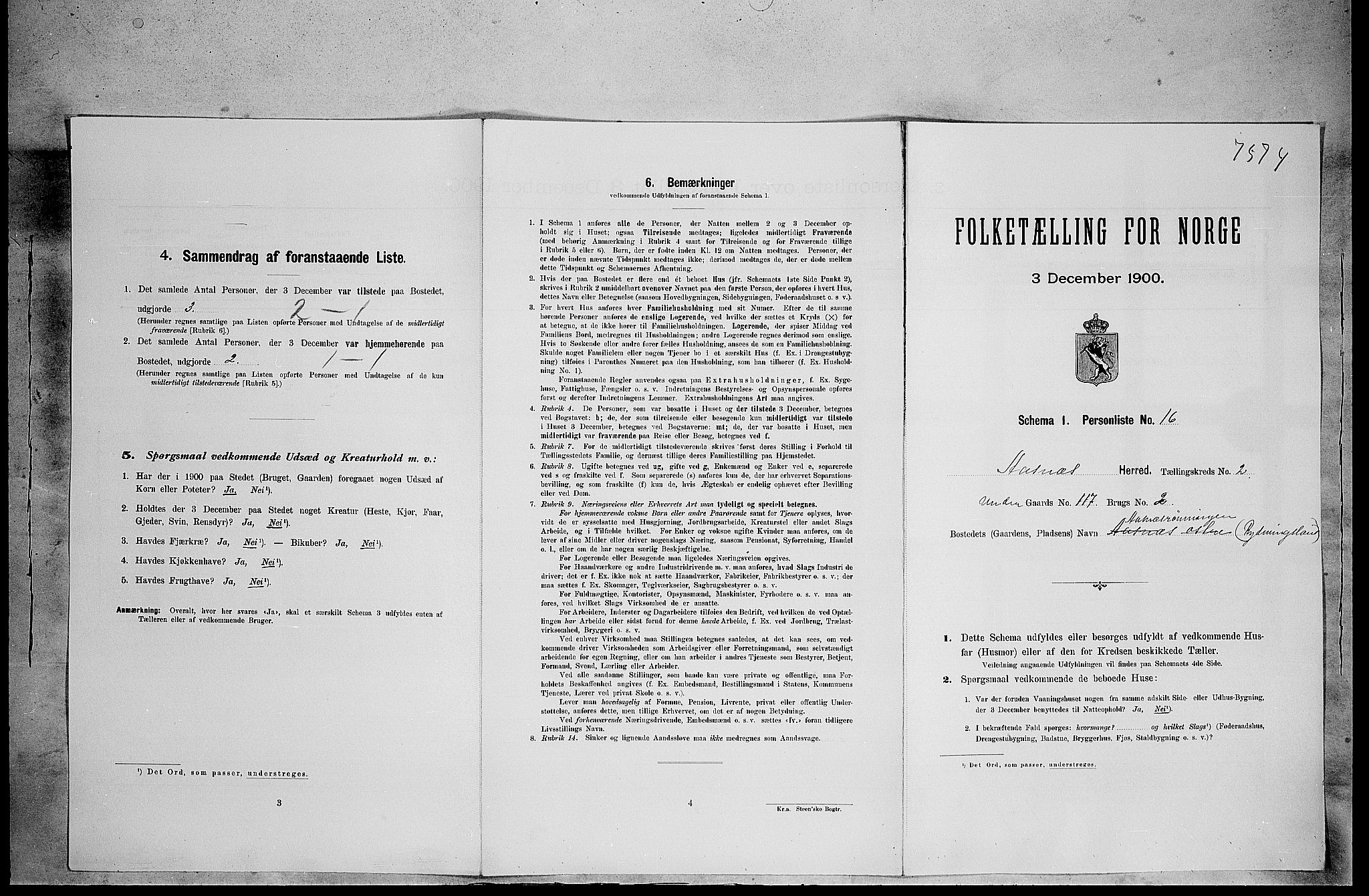 SAH, Folketelling 1900 for 0425 Åsnes herred, 1900, s. 285