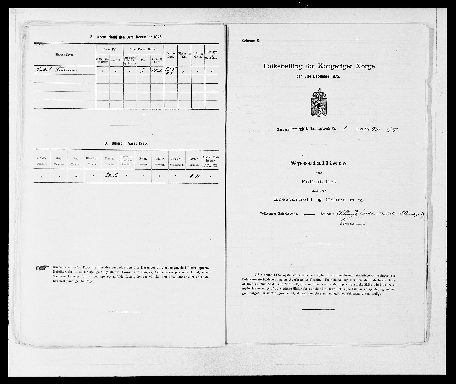 SAB, Folketelling 1875 for 1261P Manger prestegjeld, 1875, s. 699