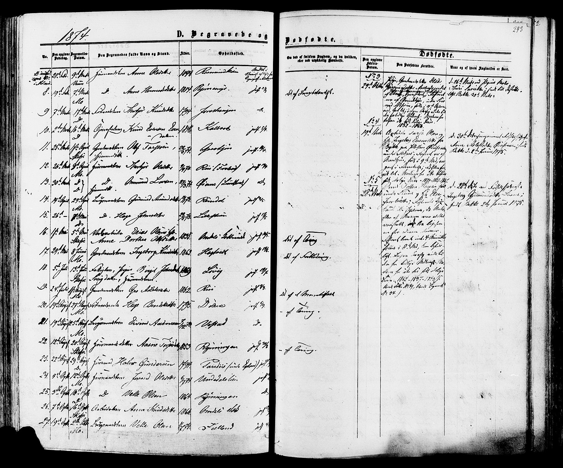 Mo kirkebøker, AV/SAKO-A-286/F/Fa/L0006: Ministerialbok nr. I 6, 1865-1885, s. 243