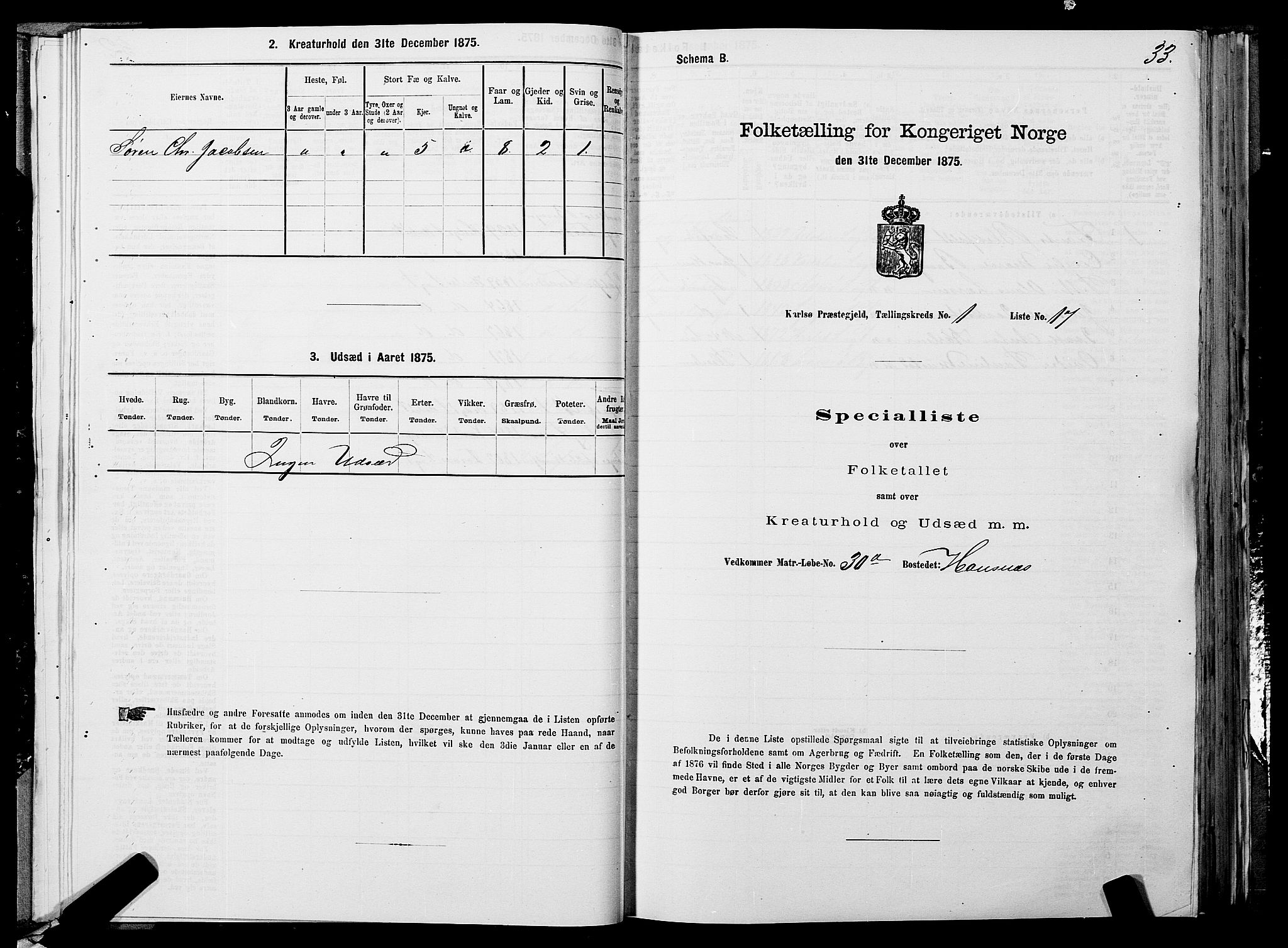 SATØ, Folketelling 1875 for 1936P Karlsøy prestegjeld, 1875, s. 1033