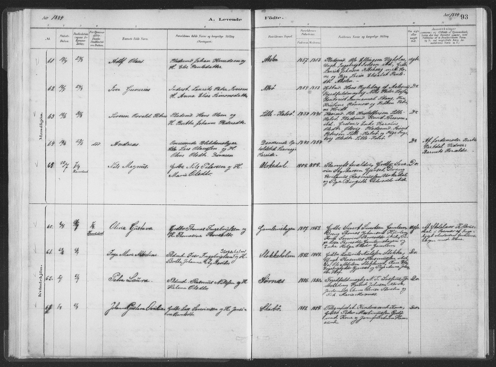 Ministerialprotokoller, klokkerbøker og fødselsregistre - Møre og Romsdal, AV/SAT-A-1454/528/L0401: Ministerialbok nr. 528A12I, 1880-1920, s. 93