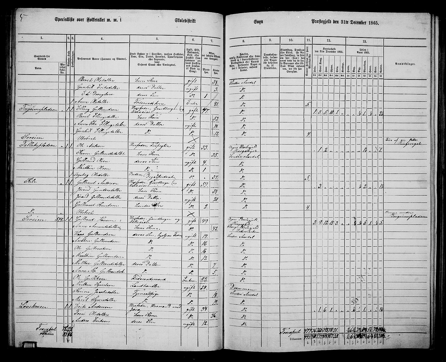 RA, Folketelling 1865 for 0540P Sør-Aurdal prestegjeld, 1865, s. 139