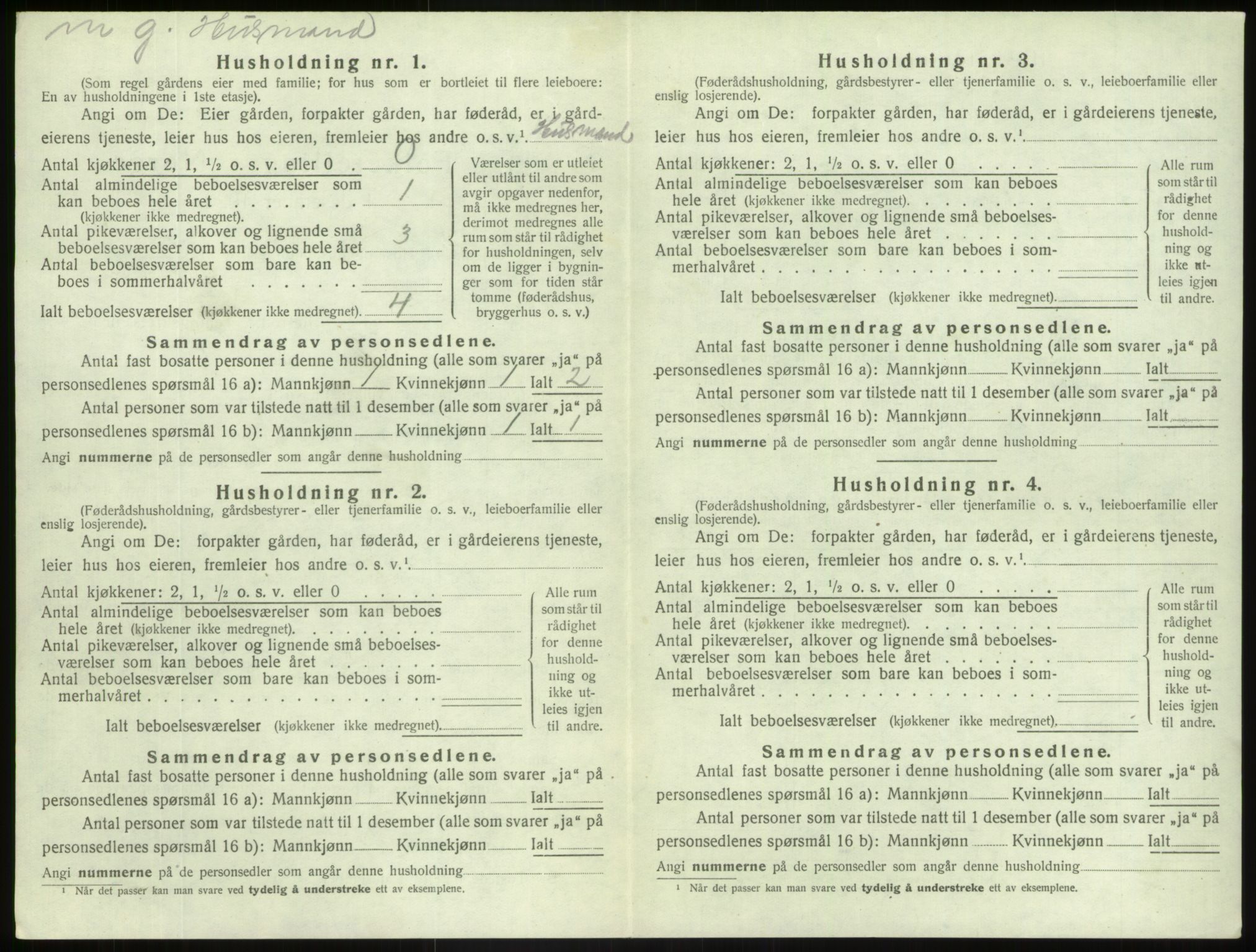 SAB, Folketelling 1920 for 1426 Luster herred, 1920, s. 253