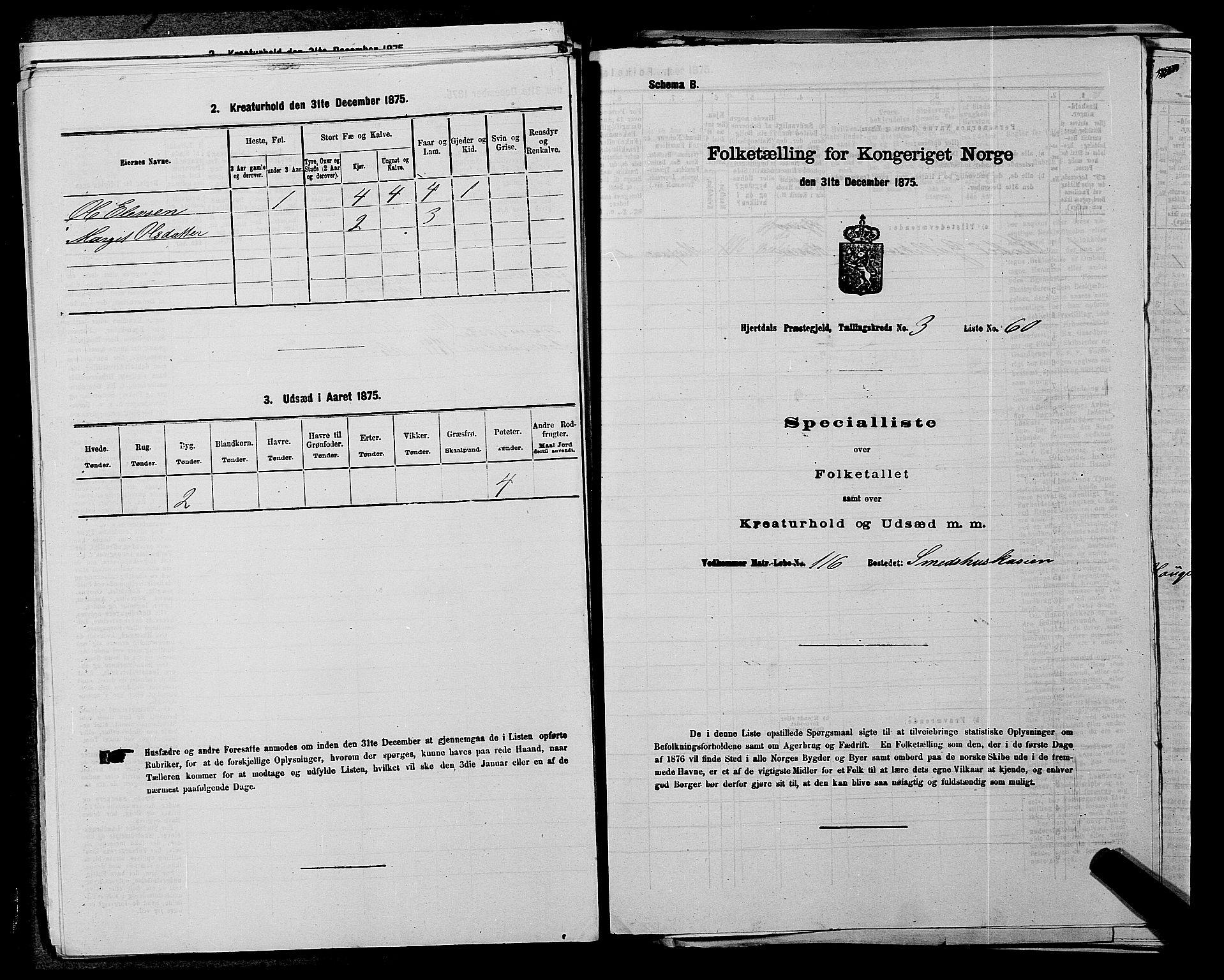 SAKO, Folketelling 1875 for 0827P Hjartdal prestegjeld, 1875, s. 454