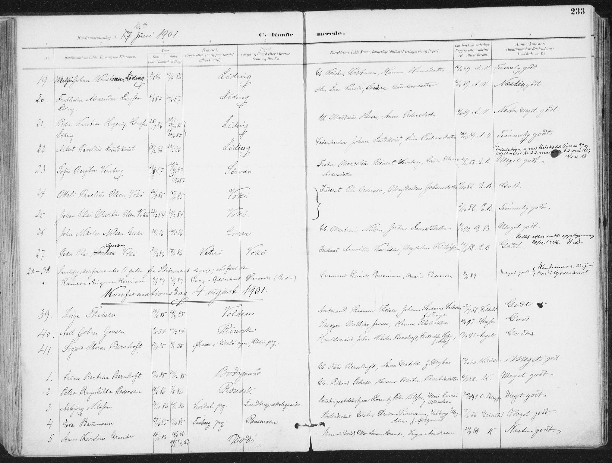 Ministerialprotokoller, klokkerbøker og fødselsregistre - Nordland, AV/SAT-A-1459/802/L0055: Ministerialbok nr. 802A02, 1894-1915, s. 233