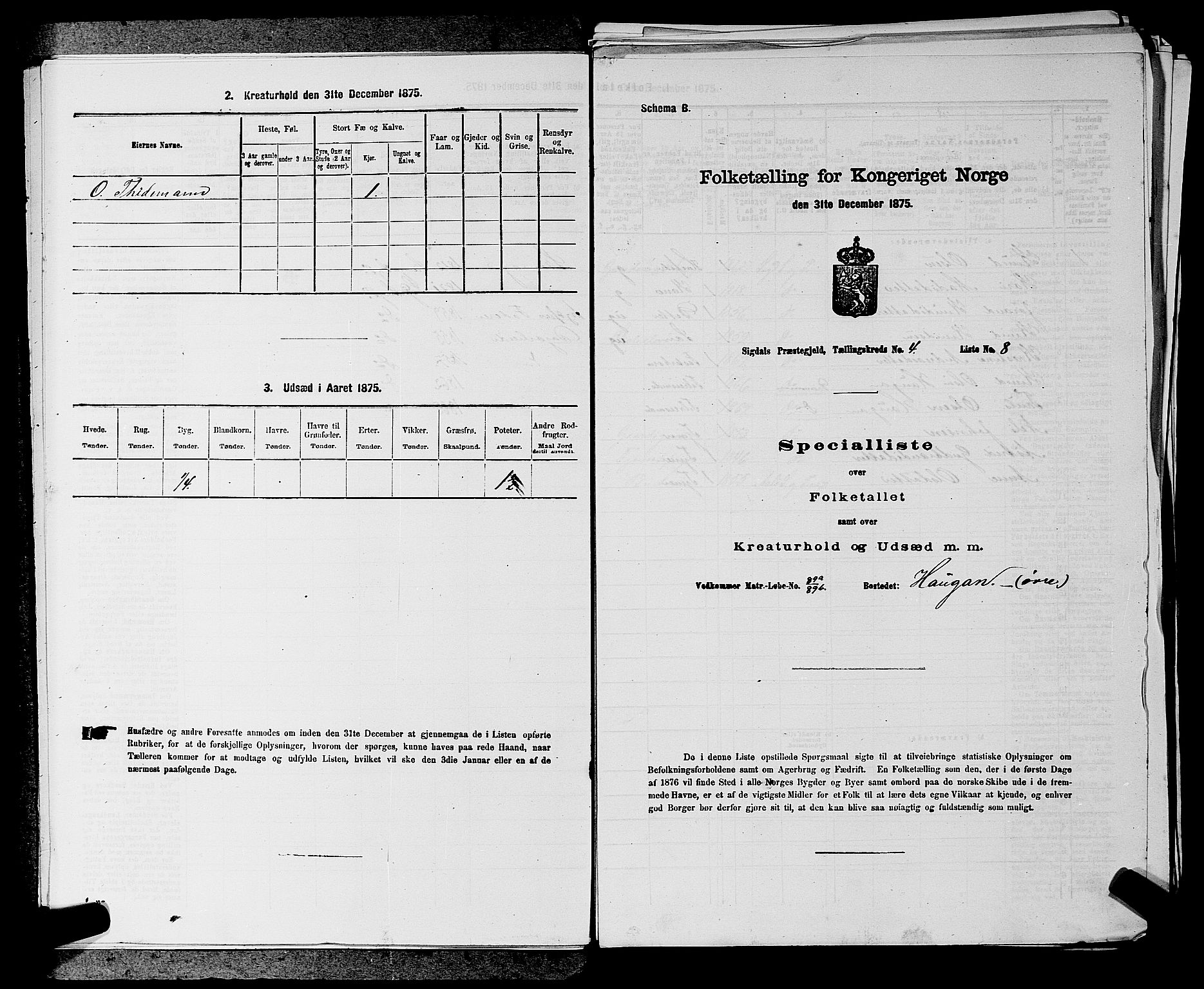 SAKO, Folketelling 1875 for 0621P Sigdal prestegjeld, 1875, s. 580