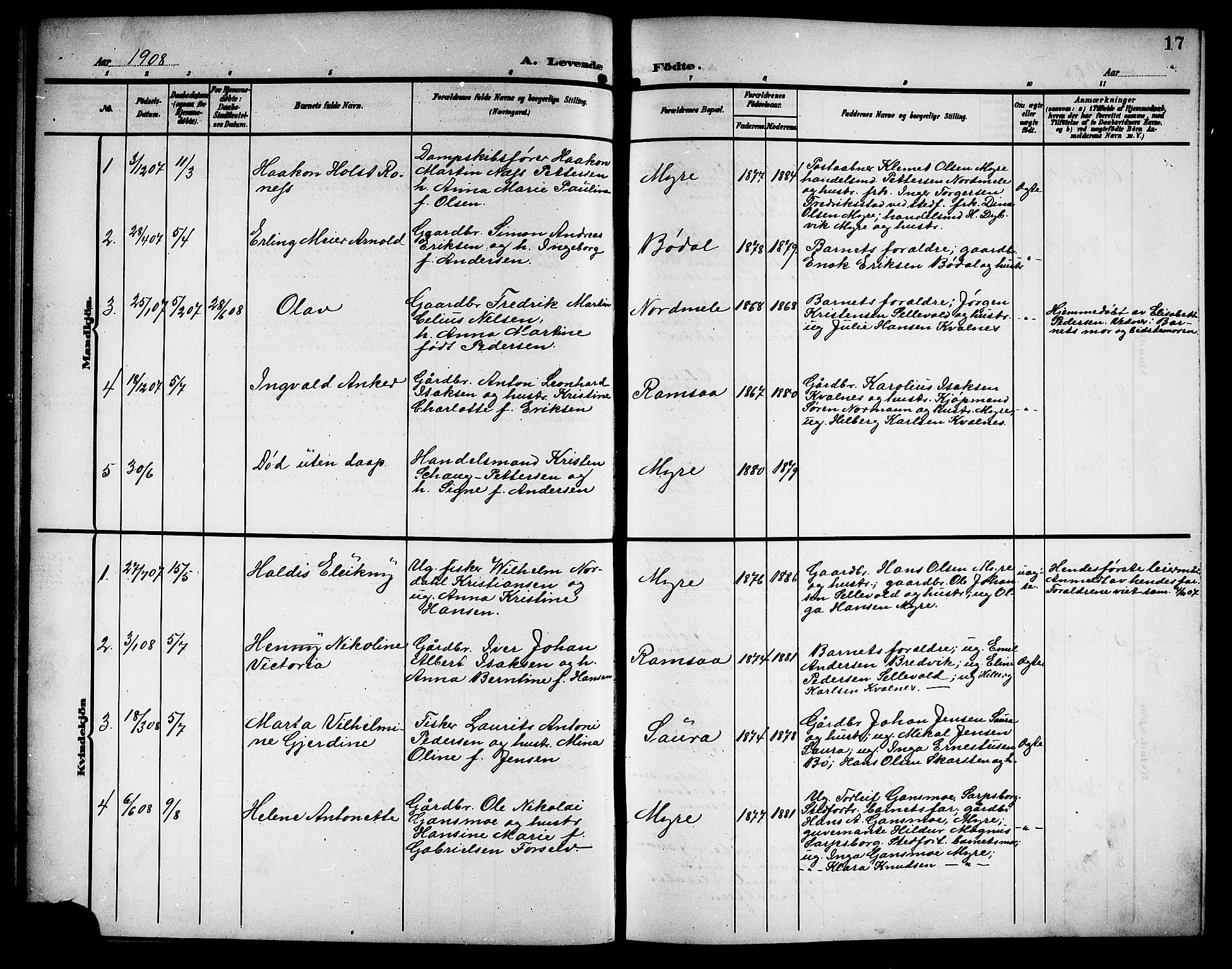 Ministerialprotokoller, klokkerbøker og fødselsregistre - Nordland, SAT/A-1459/897/L1414: Klokkerbok nr. 897C04, 1904-1915, s. 17