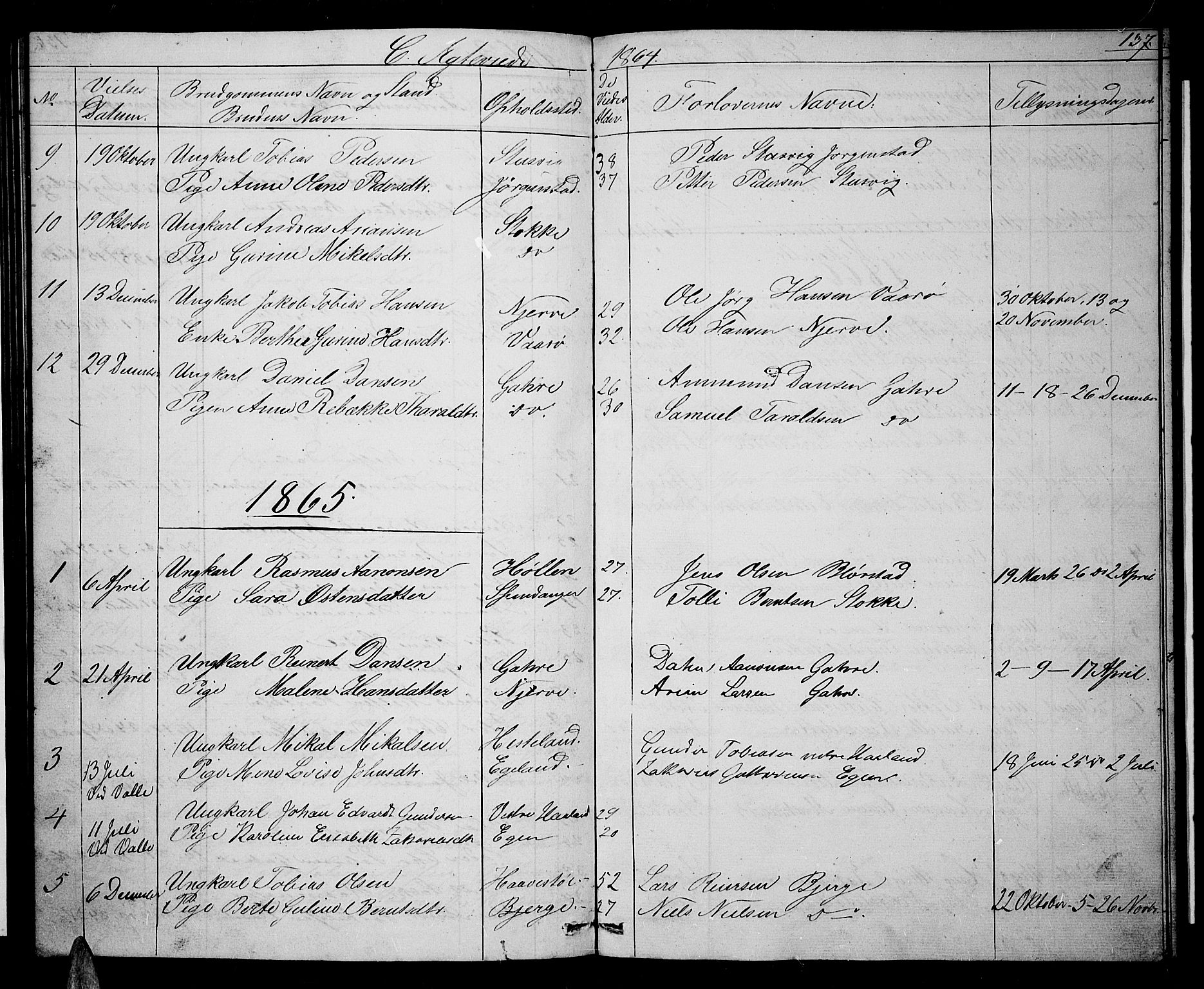 Sør-Audnedal sokneprestkontor, SAK/1111-0039/F/Fb/Fba/L0002: Klokkerbok nr. B 2, 1853-1878, s. 137