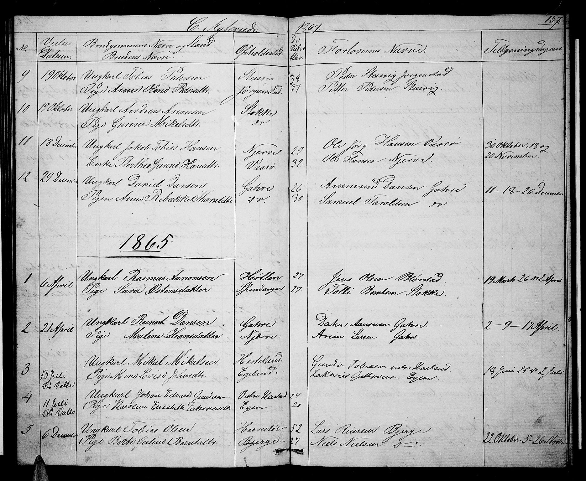 Sør-Audnedal sokneprestkontor, AV/SAK-1111-0039/F/Fb/Fba/L0002: Klokkerbok nr. B 2, 1853-1878, s. 137