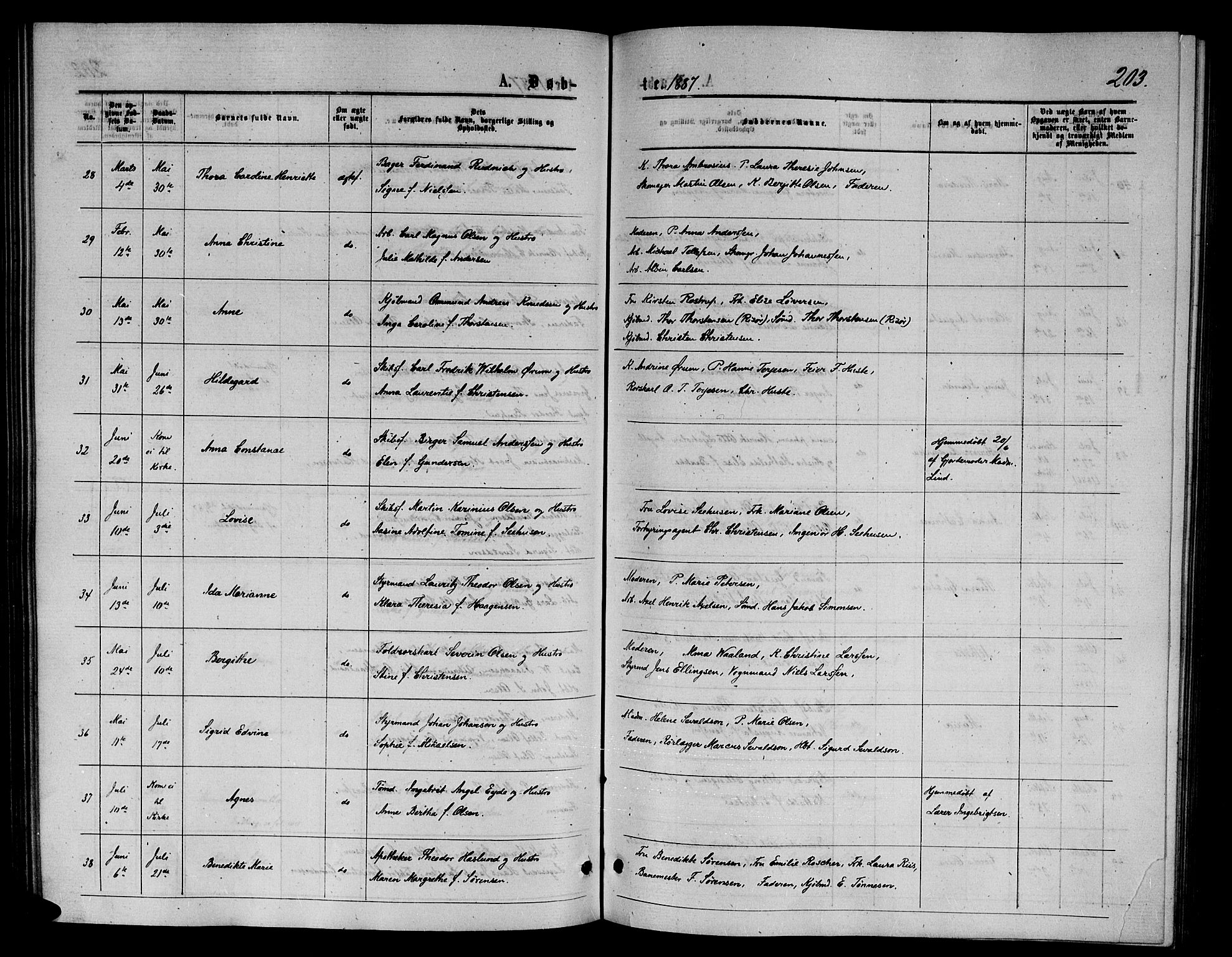 Arendal sokneprestkontor, Trefoldighet, AV/SAK-1111-0040/F/Fb/L0005: Klokkerbok nr. B 5, 1874-1888, s. 203