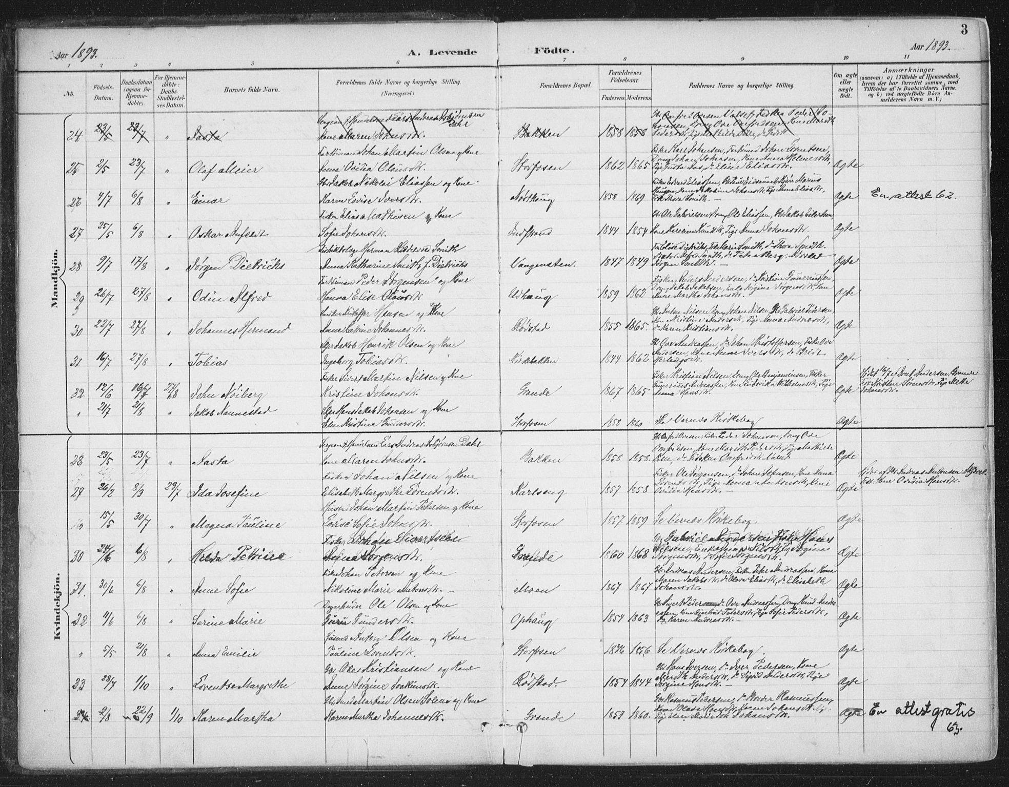 Ministerialprotokoller, klokkerbøker og fødselsregistre - Sør-Trøndelag, SAT/A-1456/659/L0743: Ministerialbok nr. 659A13, 1893-1910, s. 3