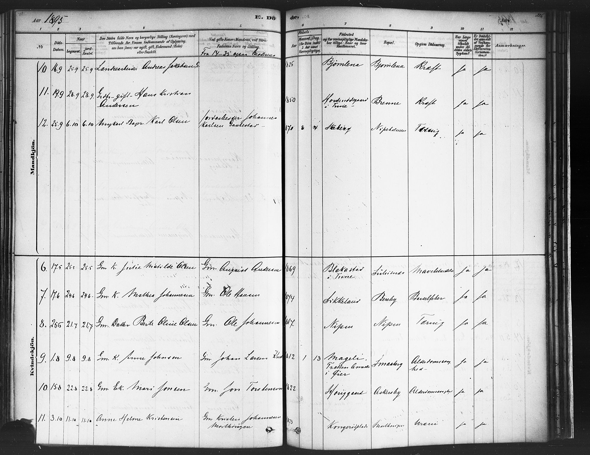 Varteig prestekontor Kirkebøker, SAO/A-10447a/F/Fa/L0002: Ministerialbok nr. 2, 1878-1899, s. 226