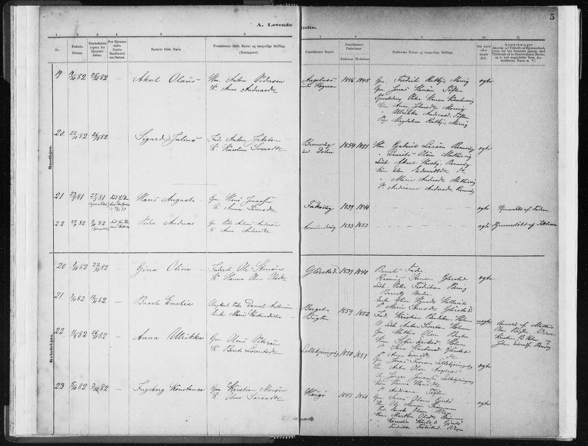 Ministerialprotokoller, klokkerbøker og fødselsregistre - Sør-Trøndelag, SAT/A-1456/634/L0533: Ministerialbok nr. 634A09, 1882-1901, s. 5
