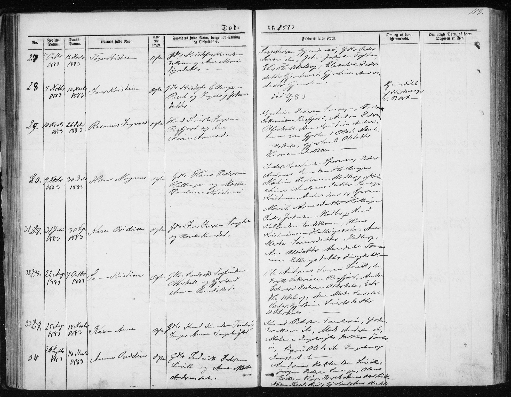 Ministerialprotokoller, klokkerbøker og fødselsregistre - Møre og Romsdal, SAT/A-1454/560/L0724: Klokkerbok nr. 560C01, 1867-1892, s. 113