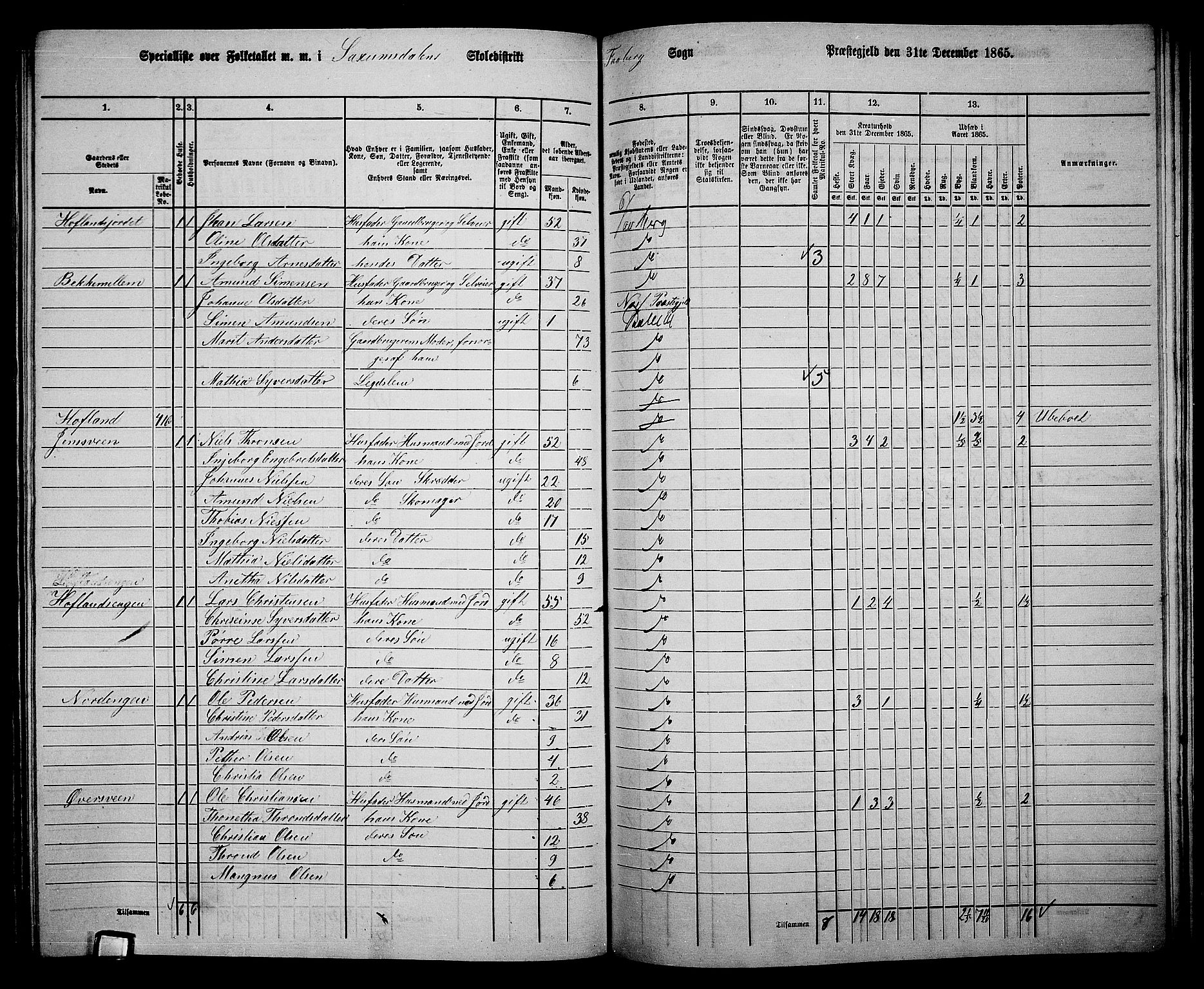 RA, Folketelling 1865 for 0524L Fåberg prestegjeld, Fåberg sokn og Lillehammer landsokn, 1865, s. 228